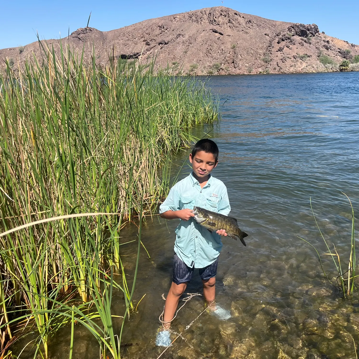 angler catch