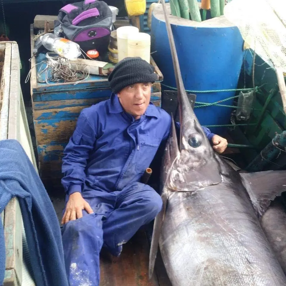 Indo-Pacific blue marlin caught on Fishbrain