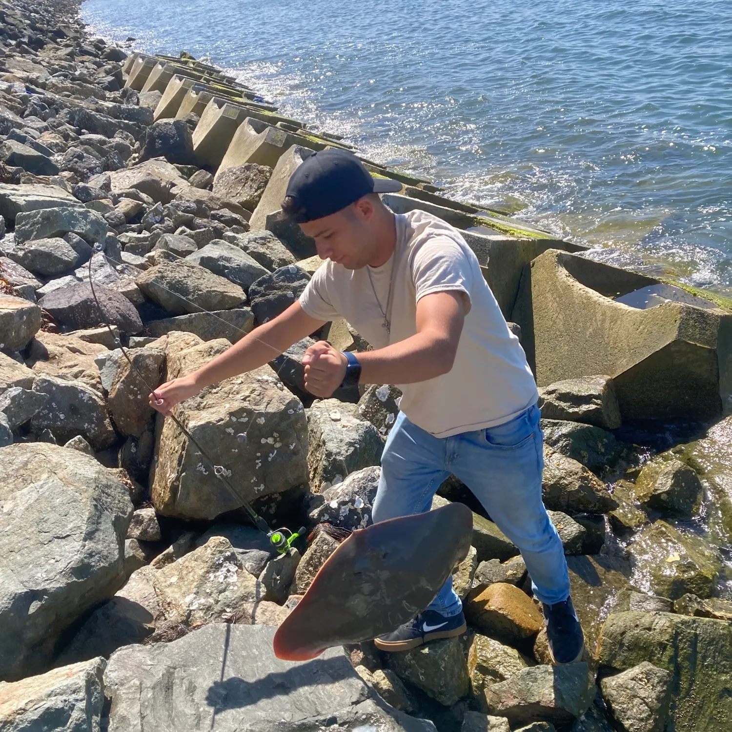 The most recent Southern stingray catches on Fishbrain