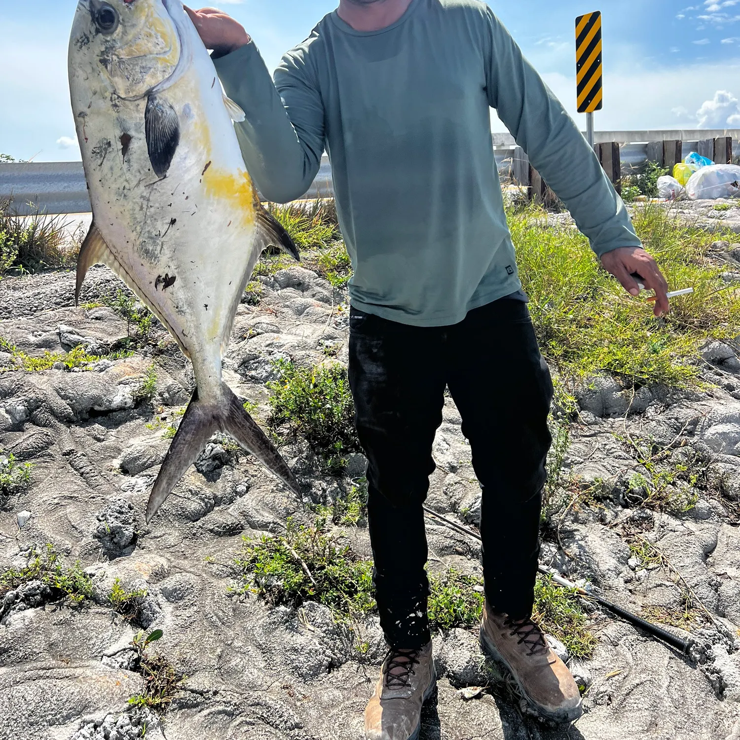 The most recent Permit catches on Fishbrain