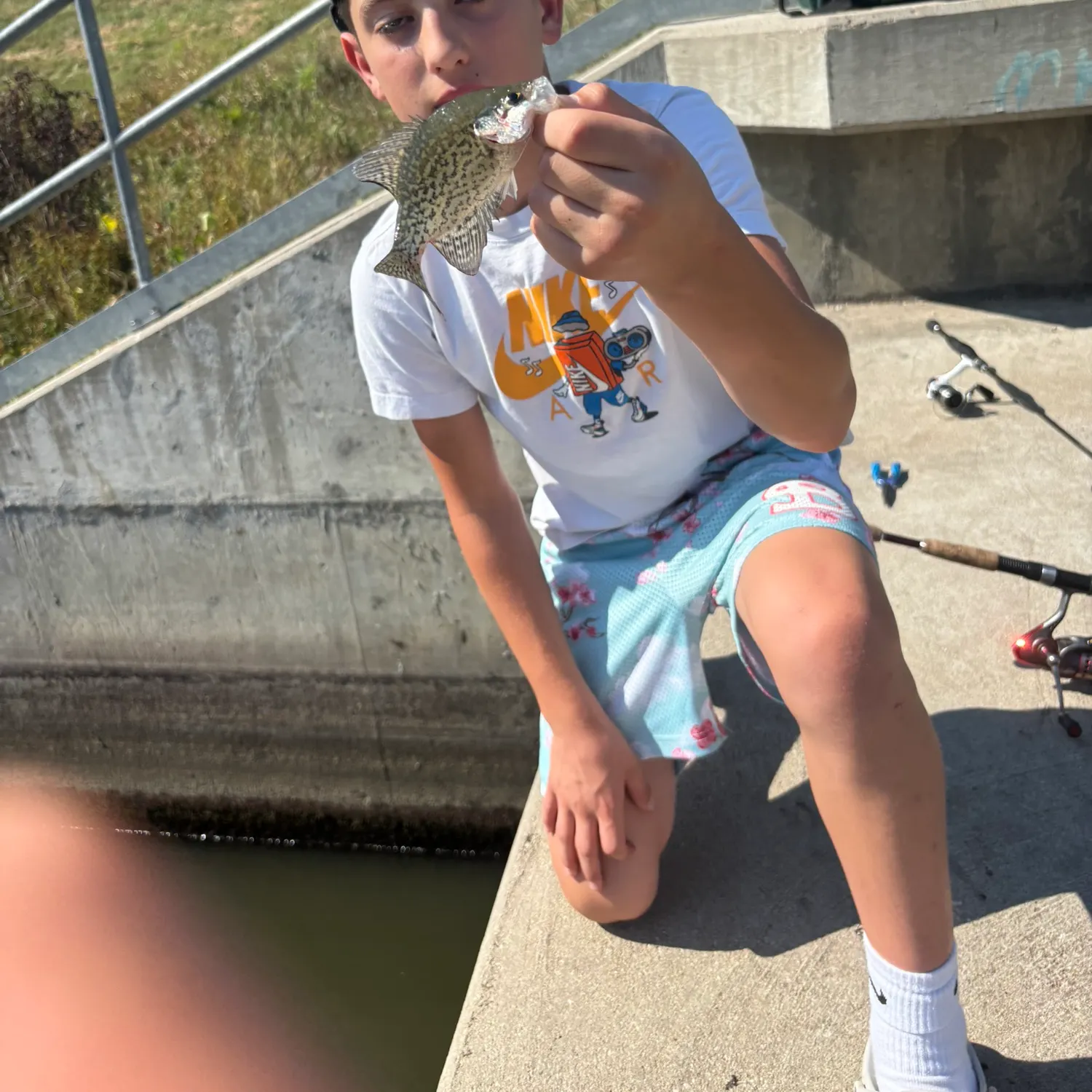 Black crappie caught on Fishbrain