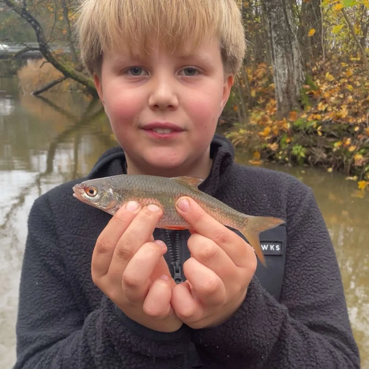 Common roach caught on Fishbrain