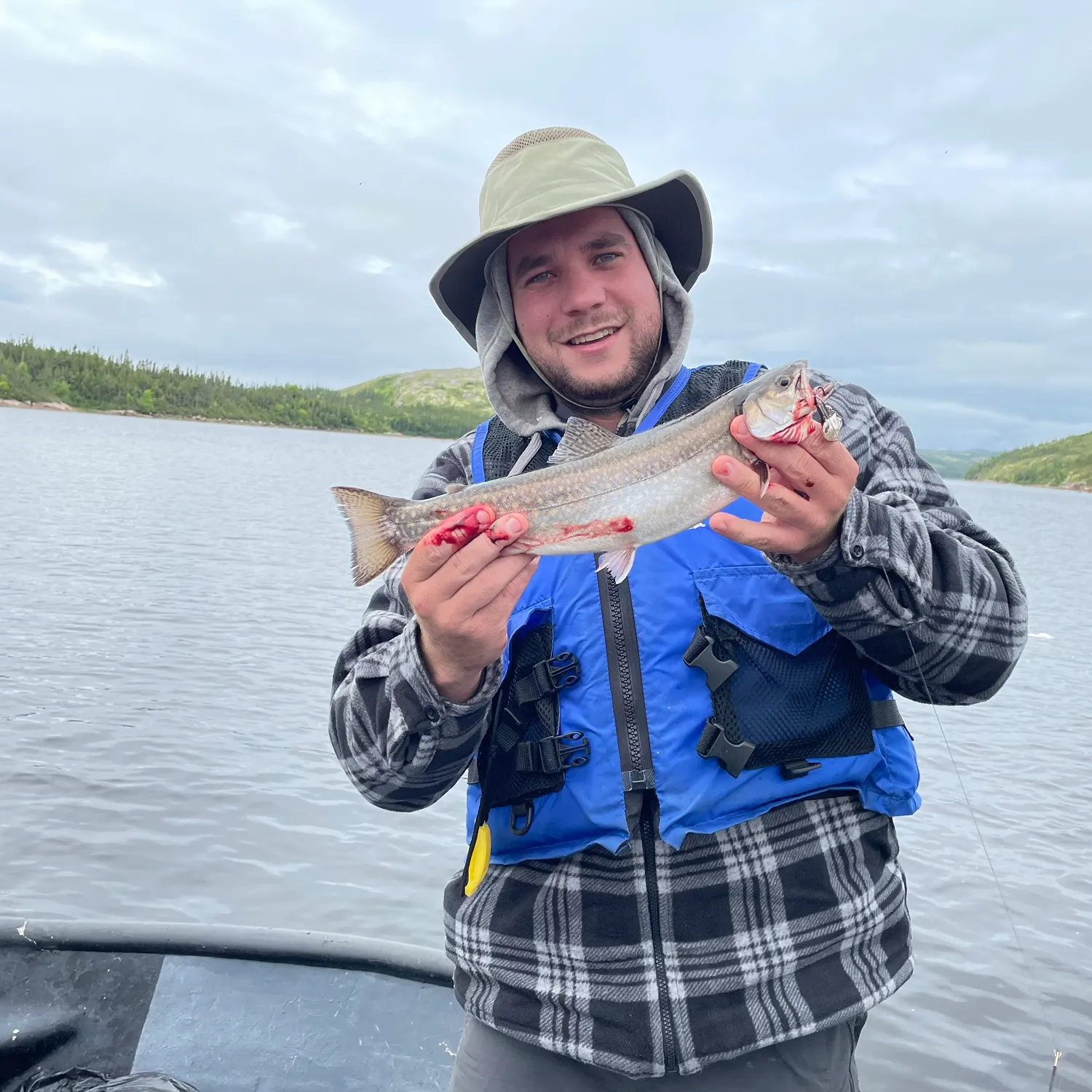 The most recent Sea trout catches on Fishbrain