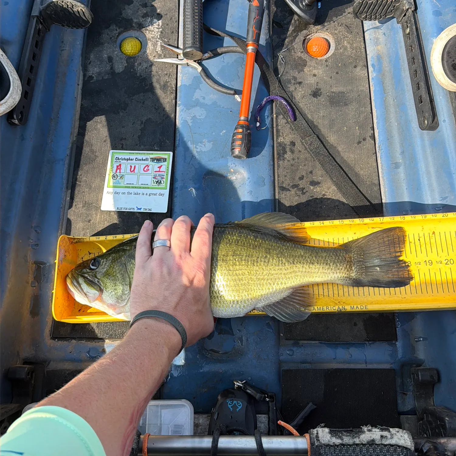 Largemouth bass caught on Fishbrain