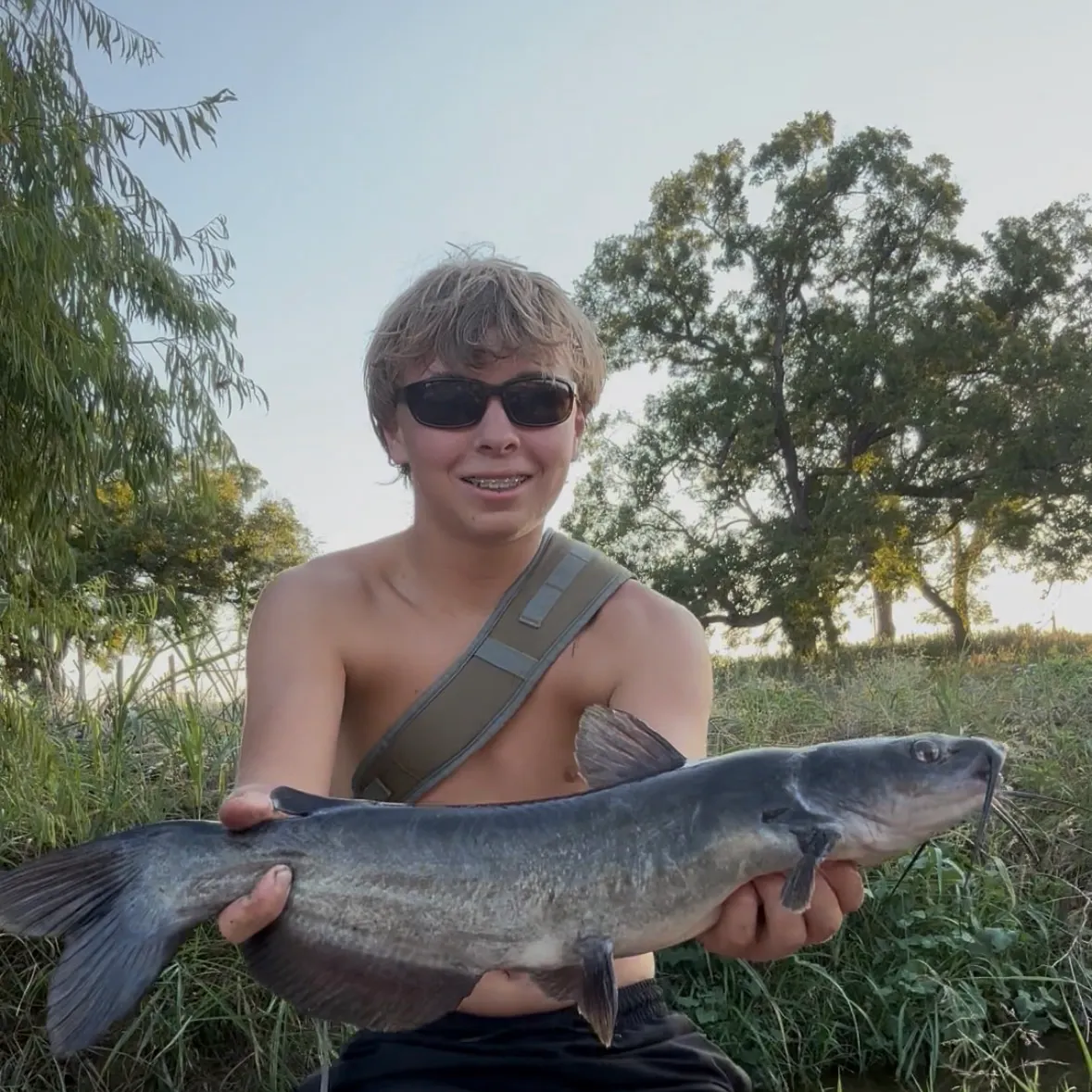 Channel catfish caught on Fishbrain