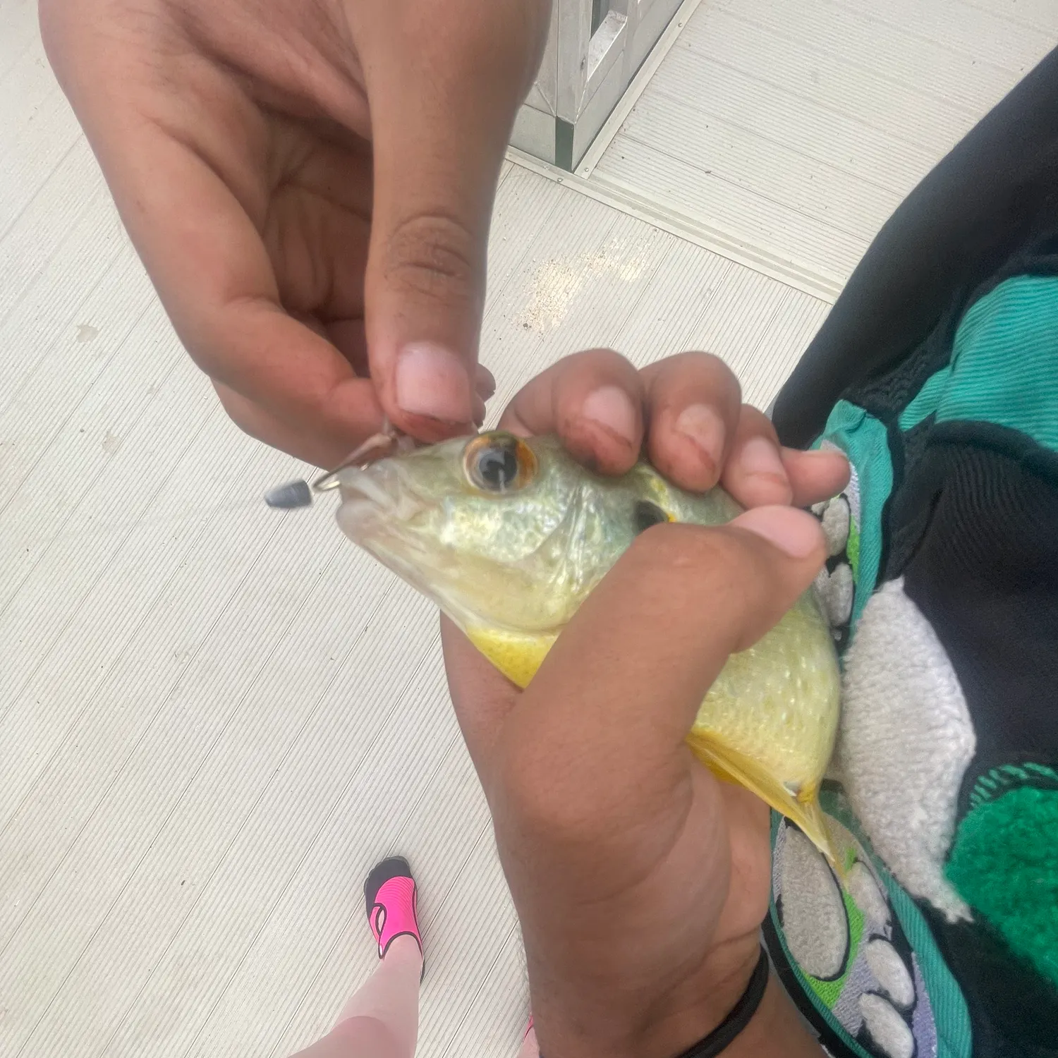 catch