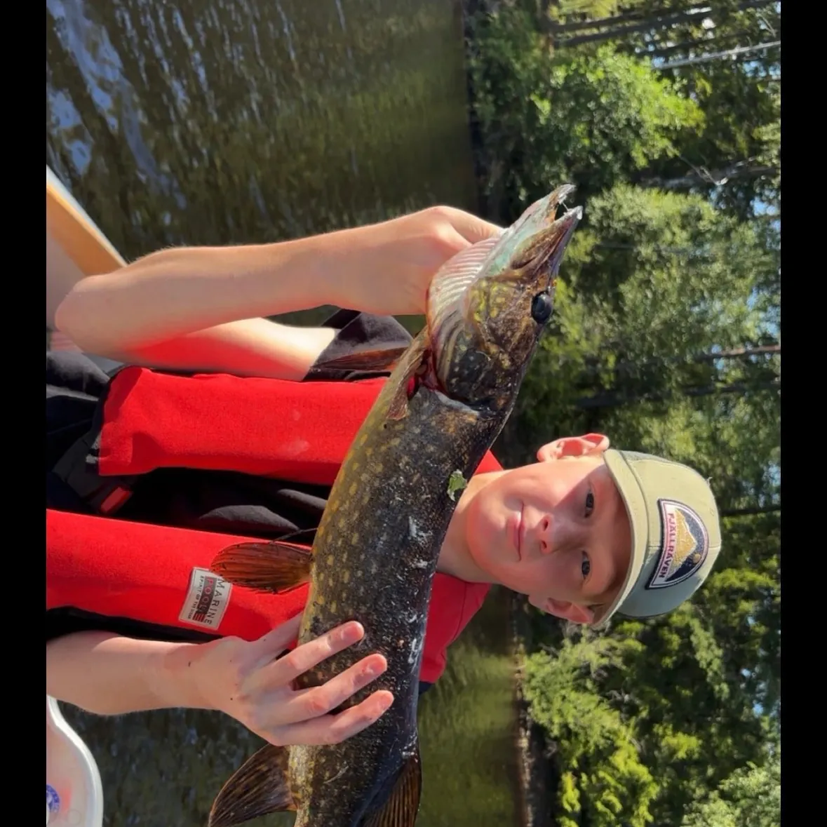 Northern pike caught on Fishbrain