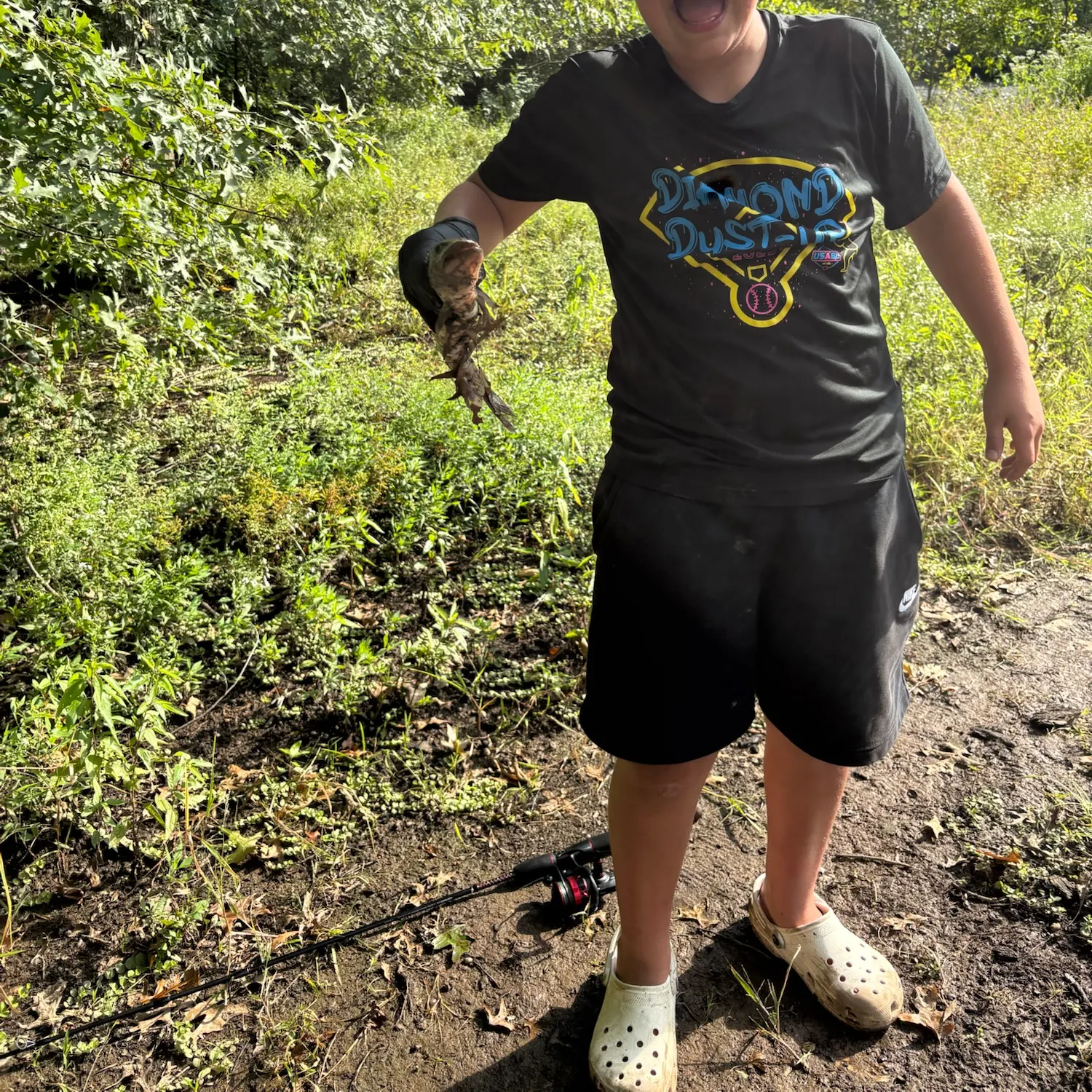 Chain pickerel caught on Fishbrain