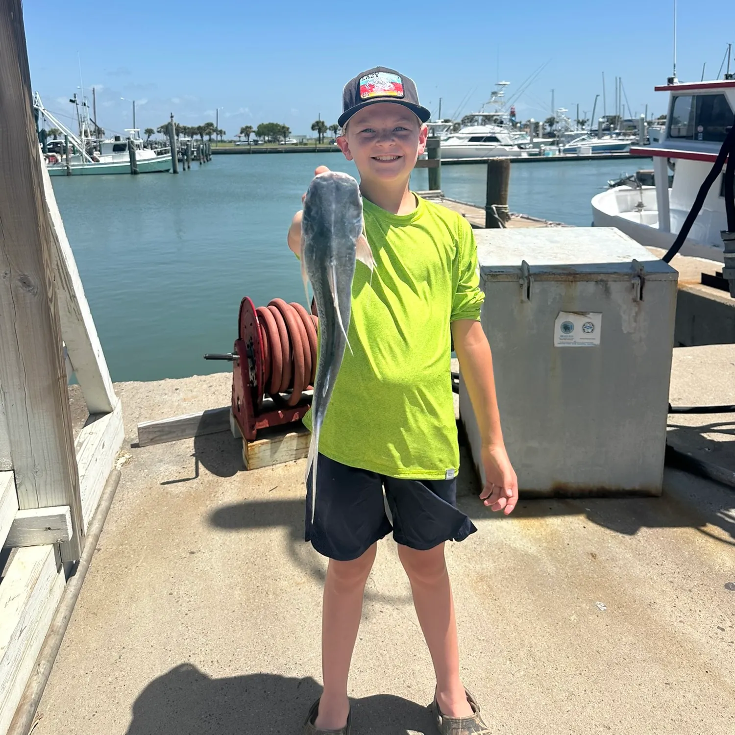 The most recent Bonnethead shark catches on Fishbrain