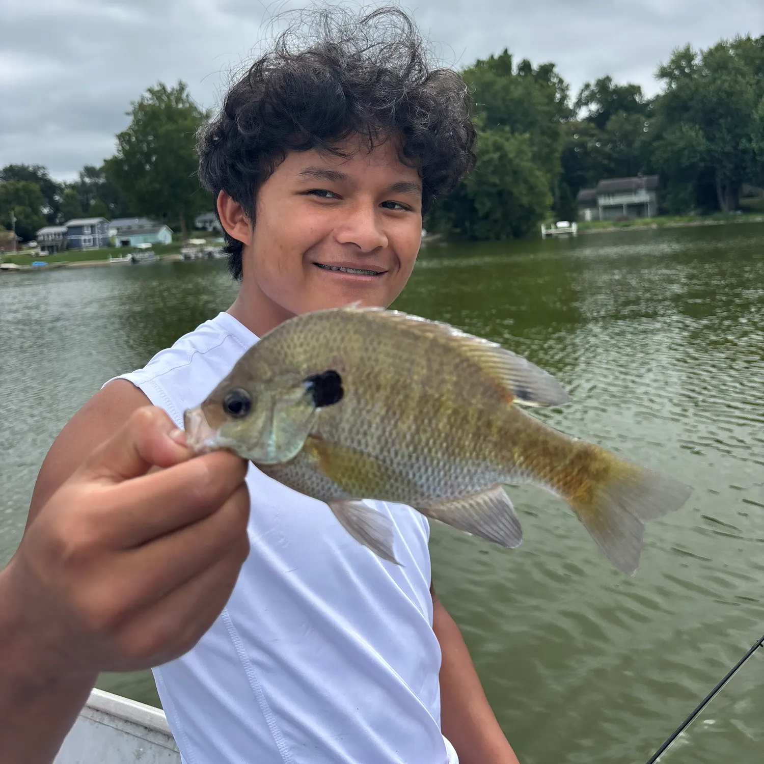 Bluegill caught on Fishbrain