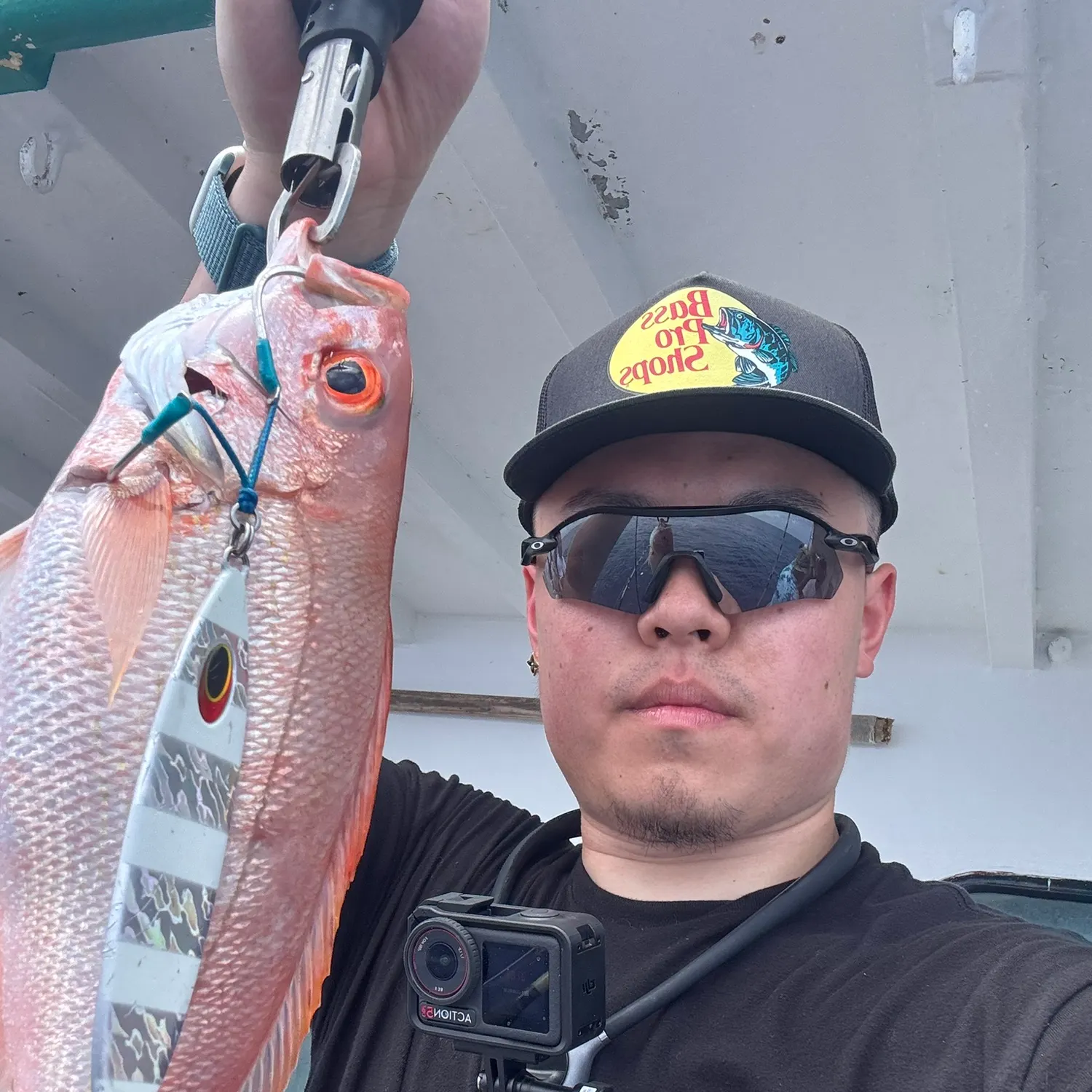The most recent Vermilion snapper catches on Fishbrain