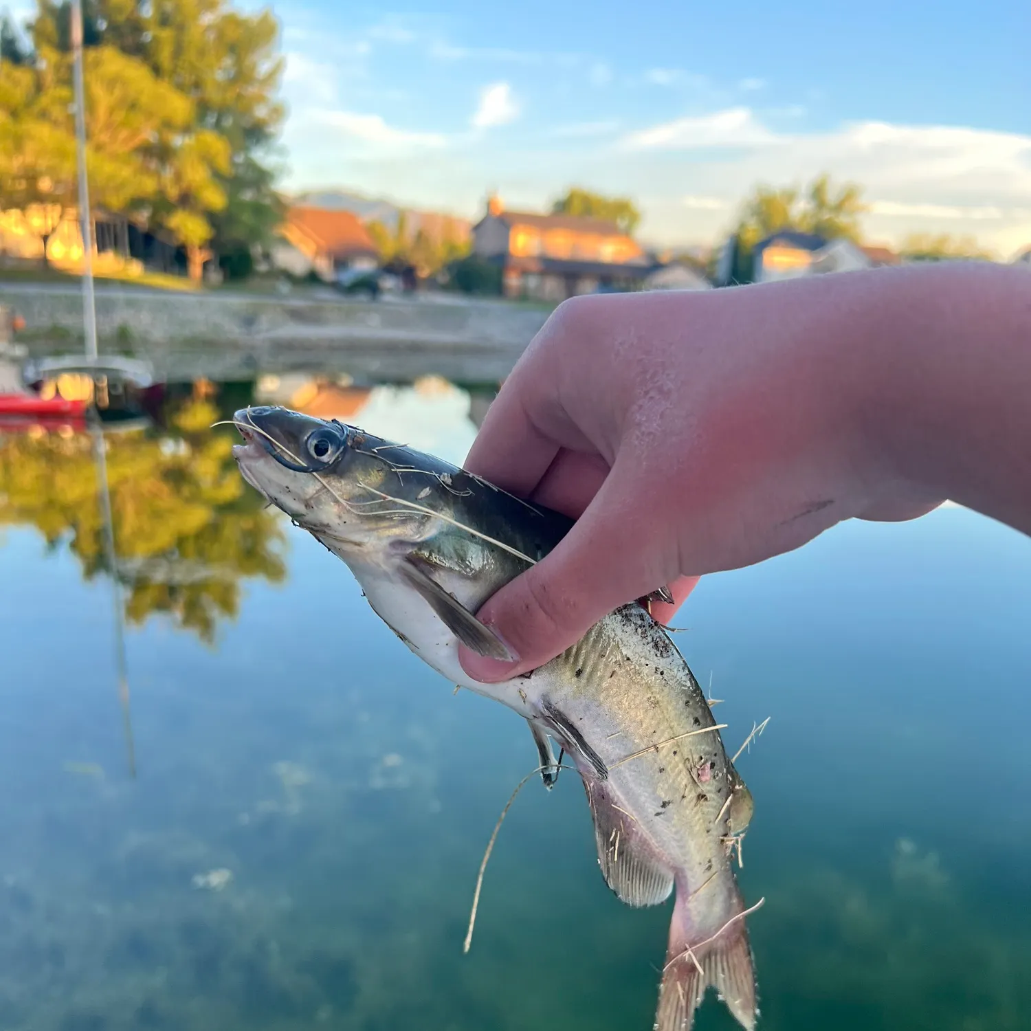 catch