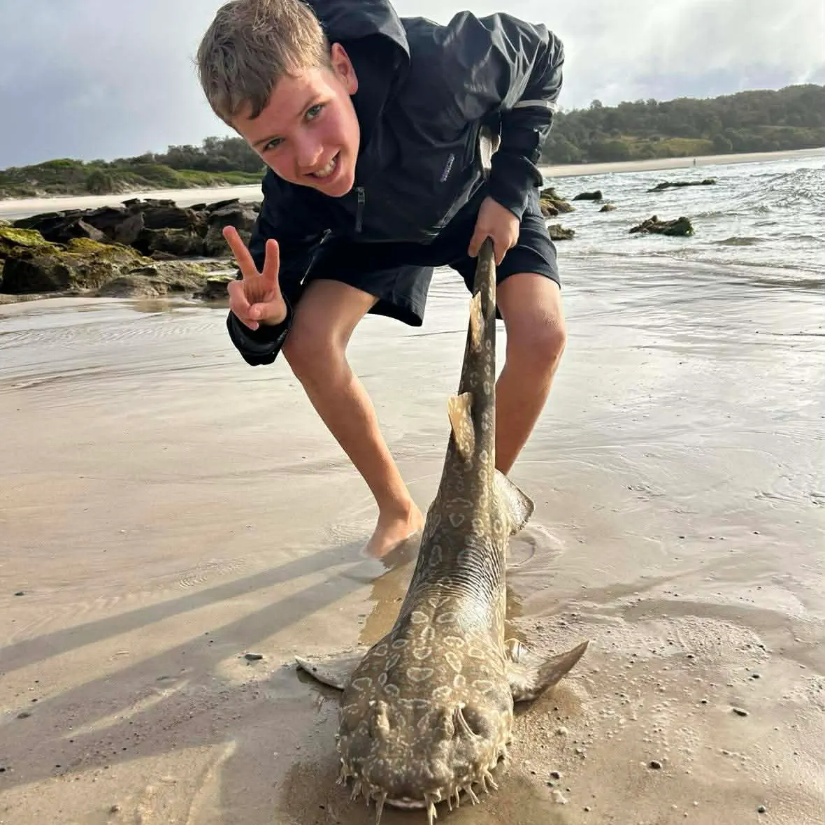 The most recent Spotted wobbegong catches on Fishbrain