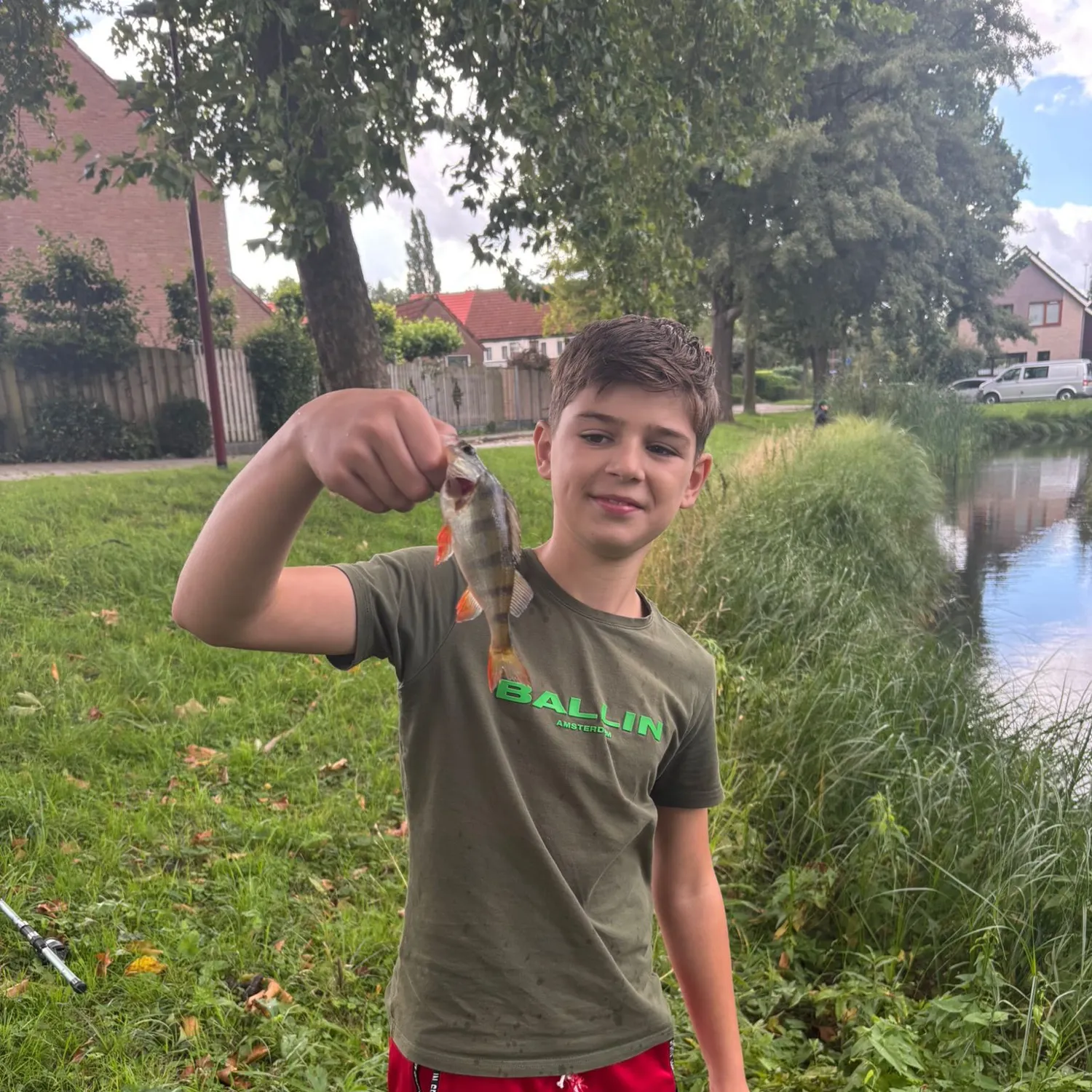 European perch caught on Fishbrain