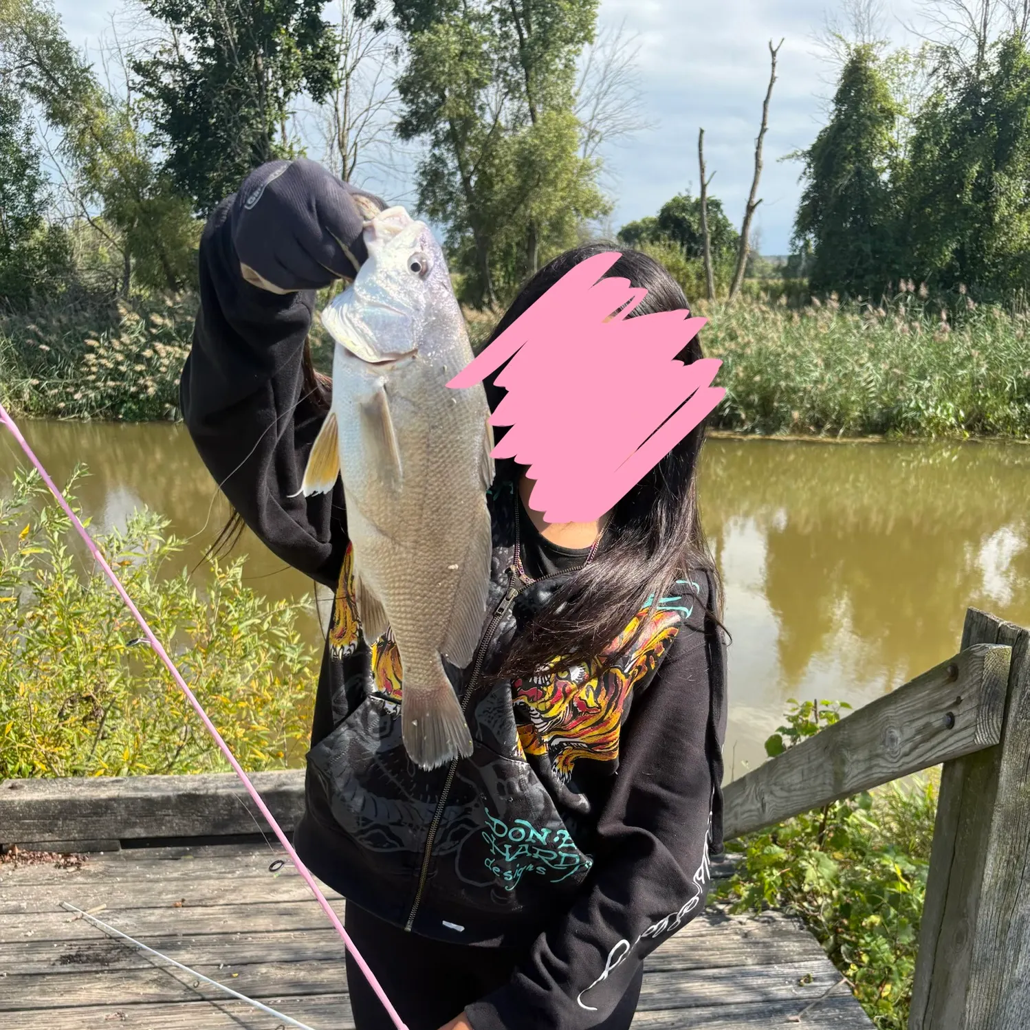 Freshwater drum caught on Fishbrain