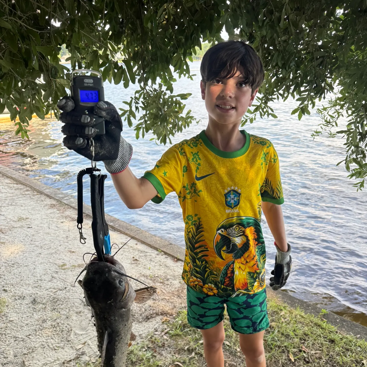 Channel catfish caught on Fishbrain