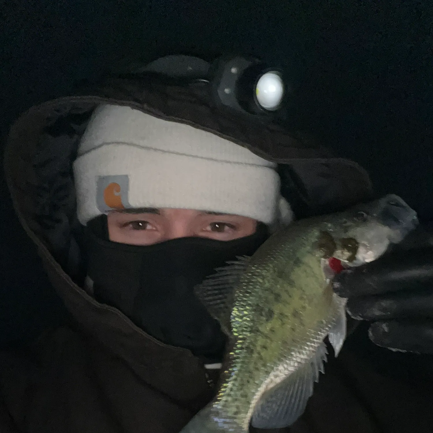 The most recent White crappie catches on Fishbrain