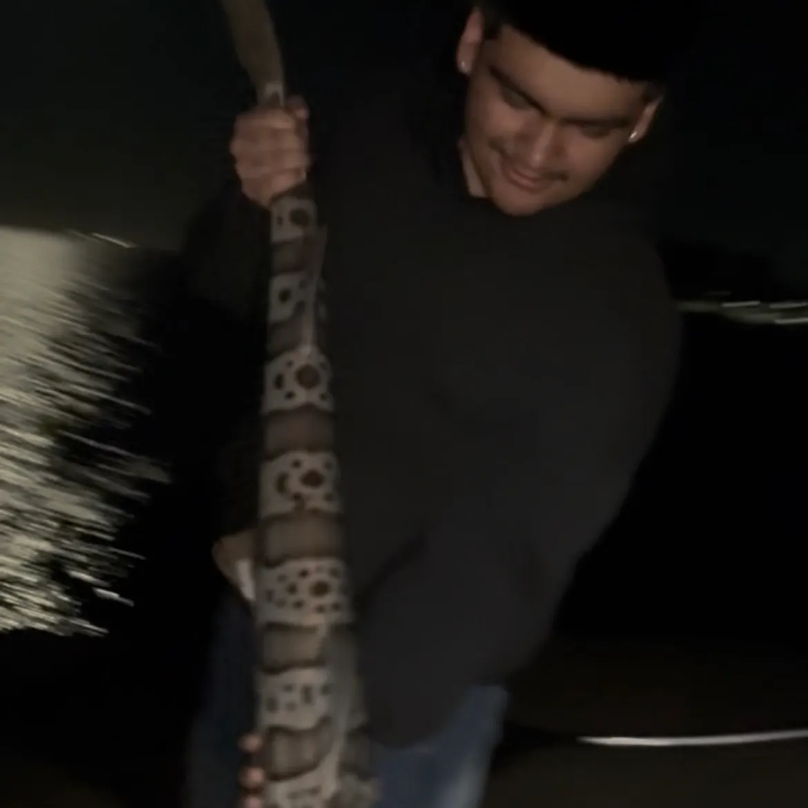Leopard shark caught on Fishbrain