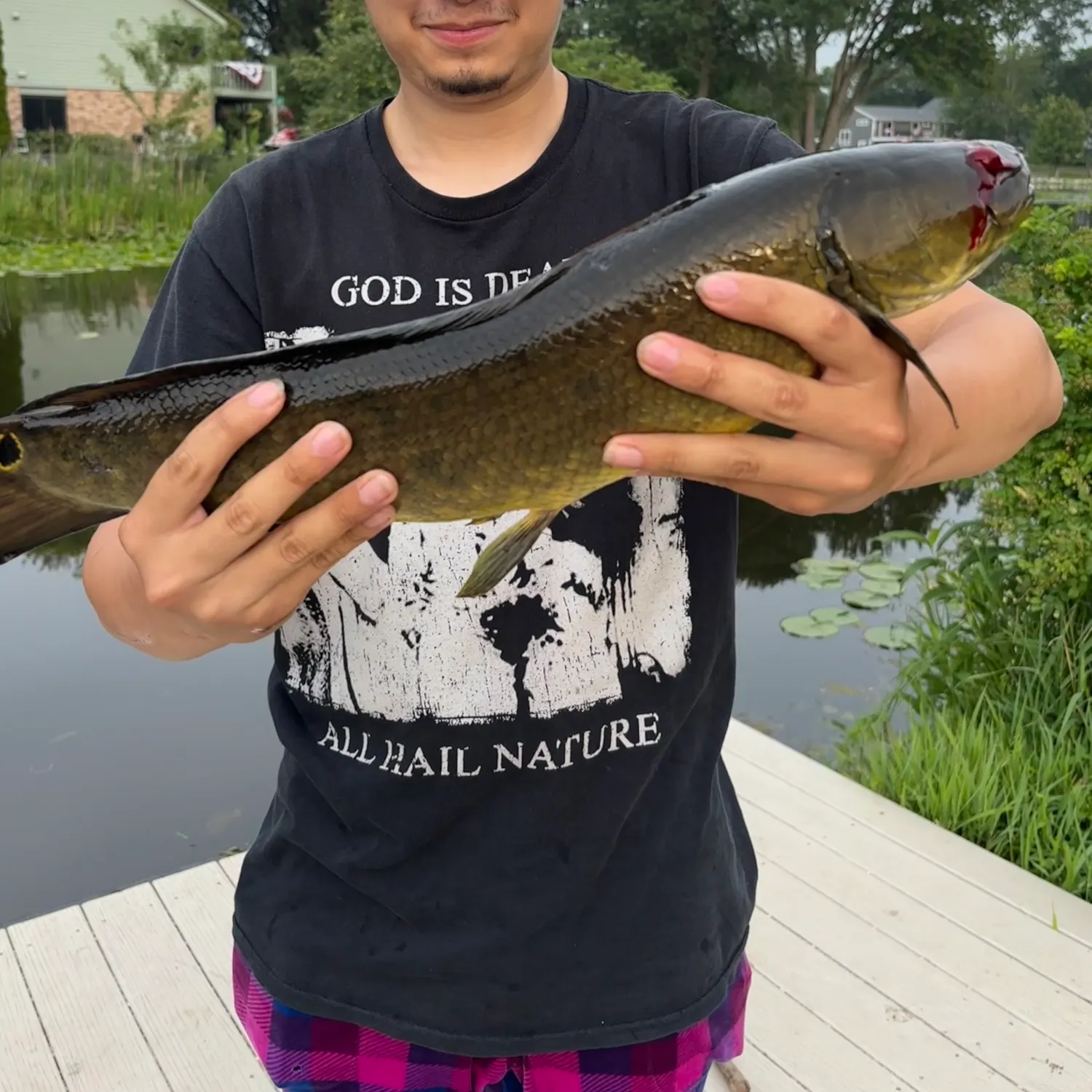 recently logged catches