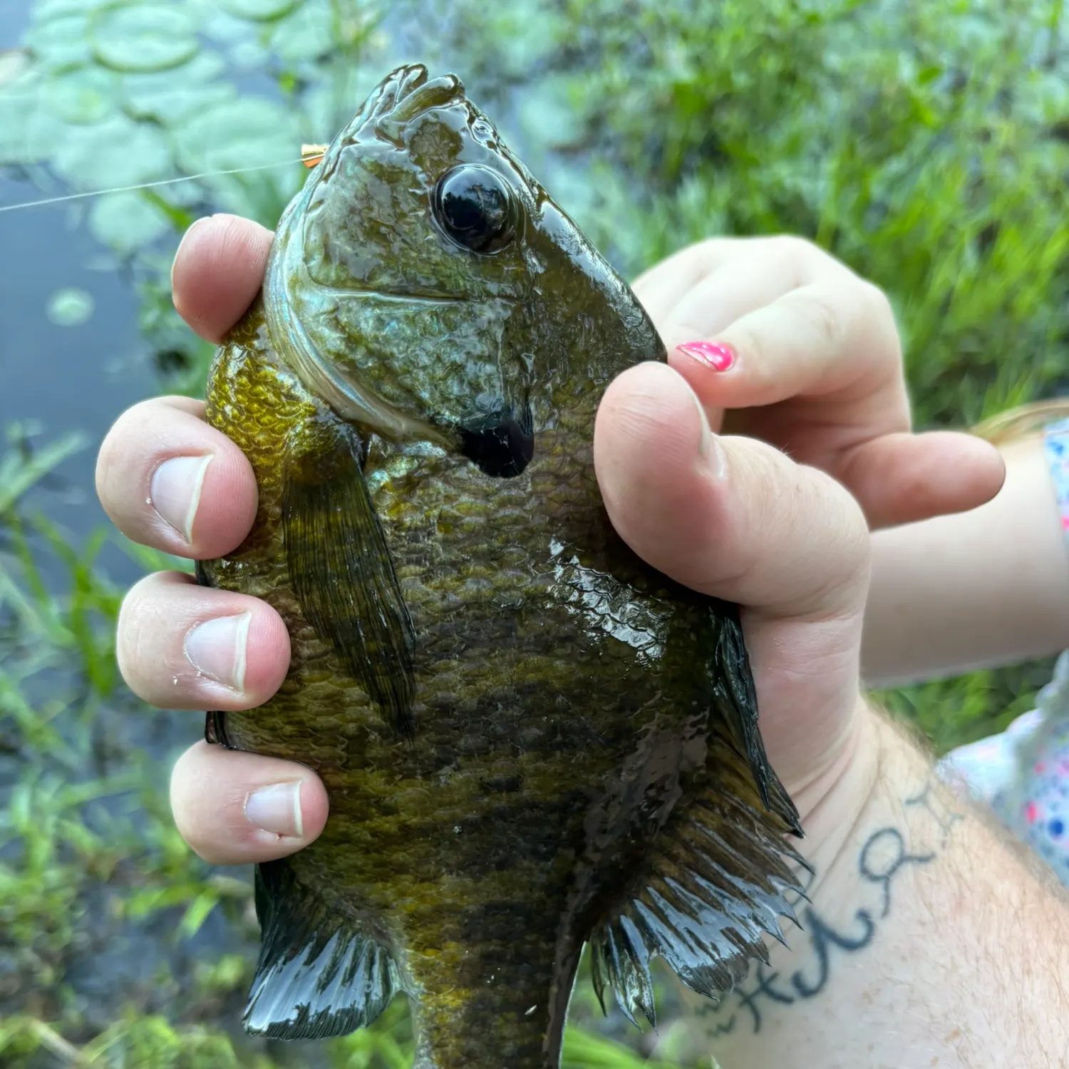 catch