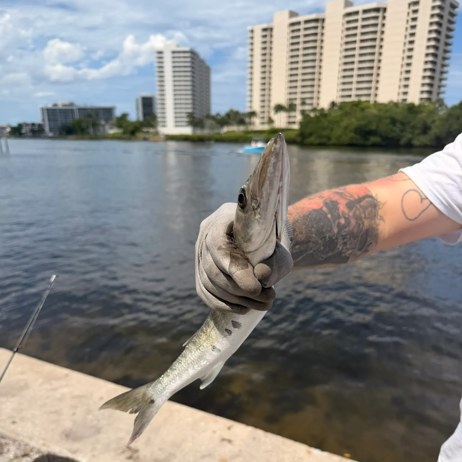 catch