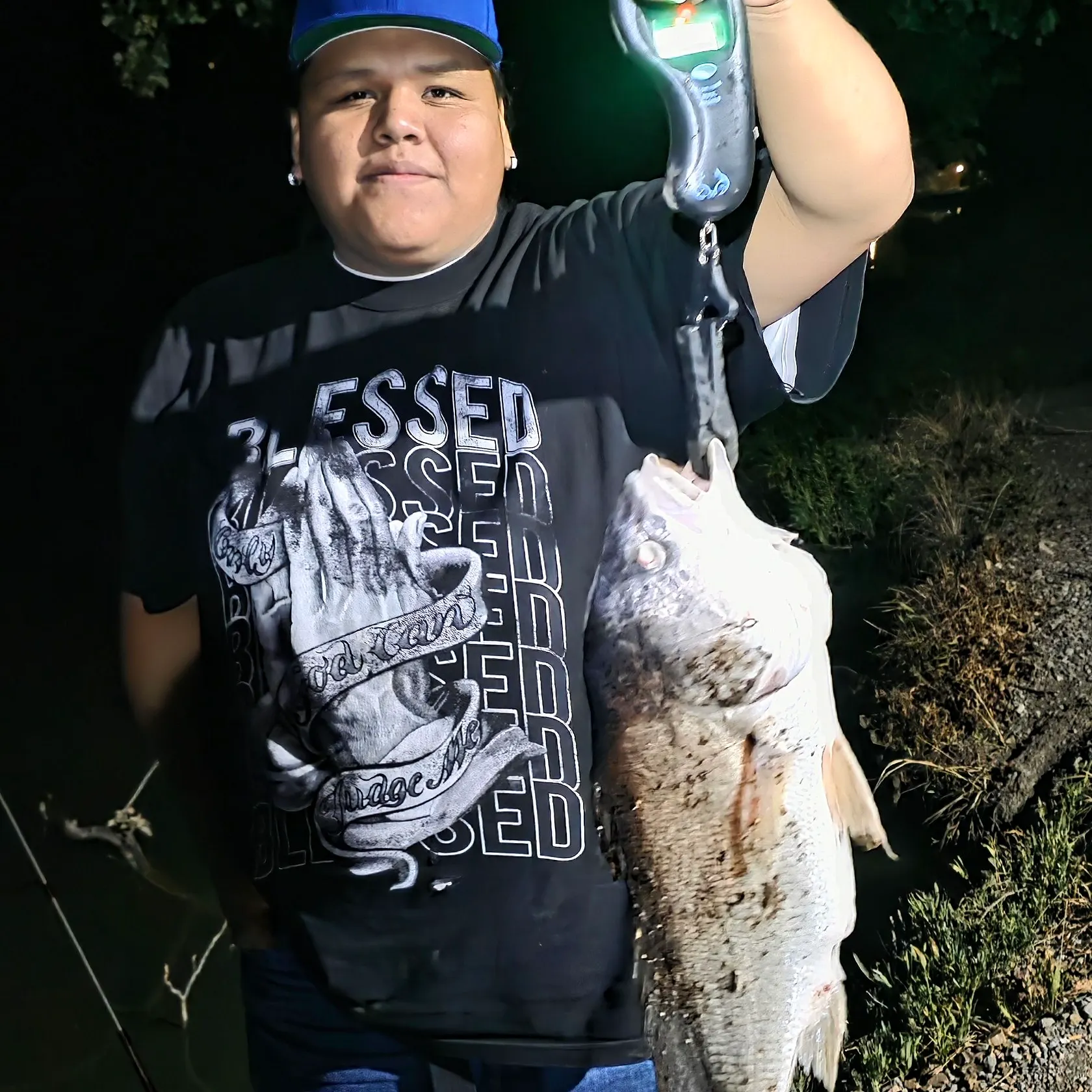 Freshwater drum caught on Fishbrain