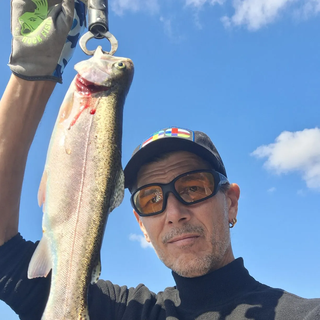 Rainbow trout caught on Fishbrain