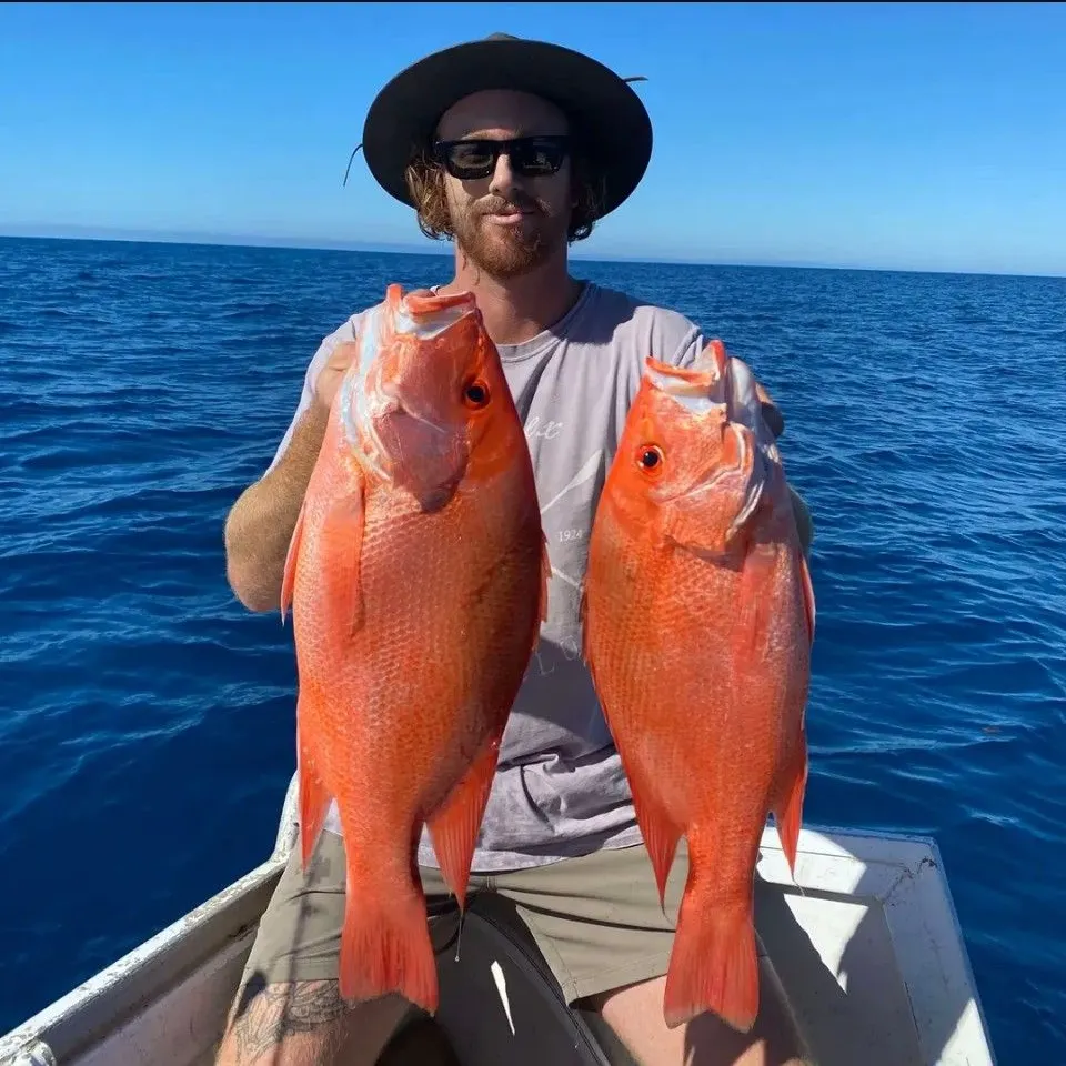 Malabar blood snapper caught on Fishbrain