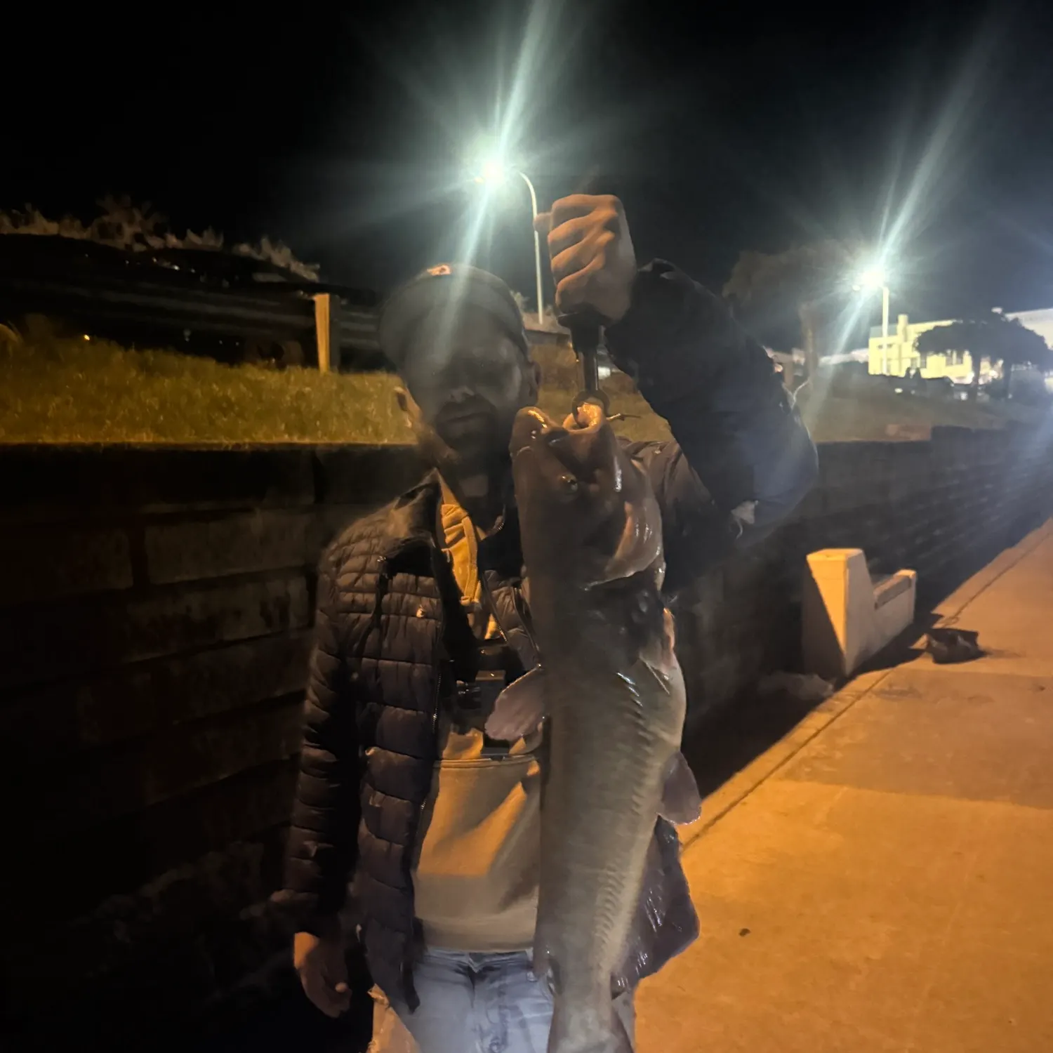 Channel catfish caught on Fishbrain