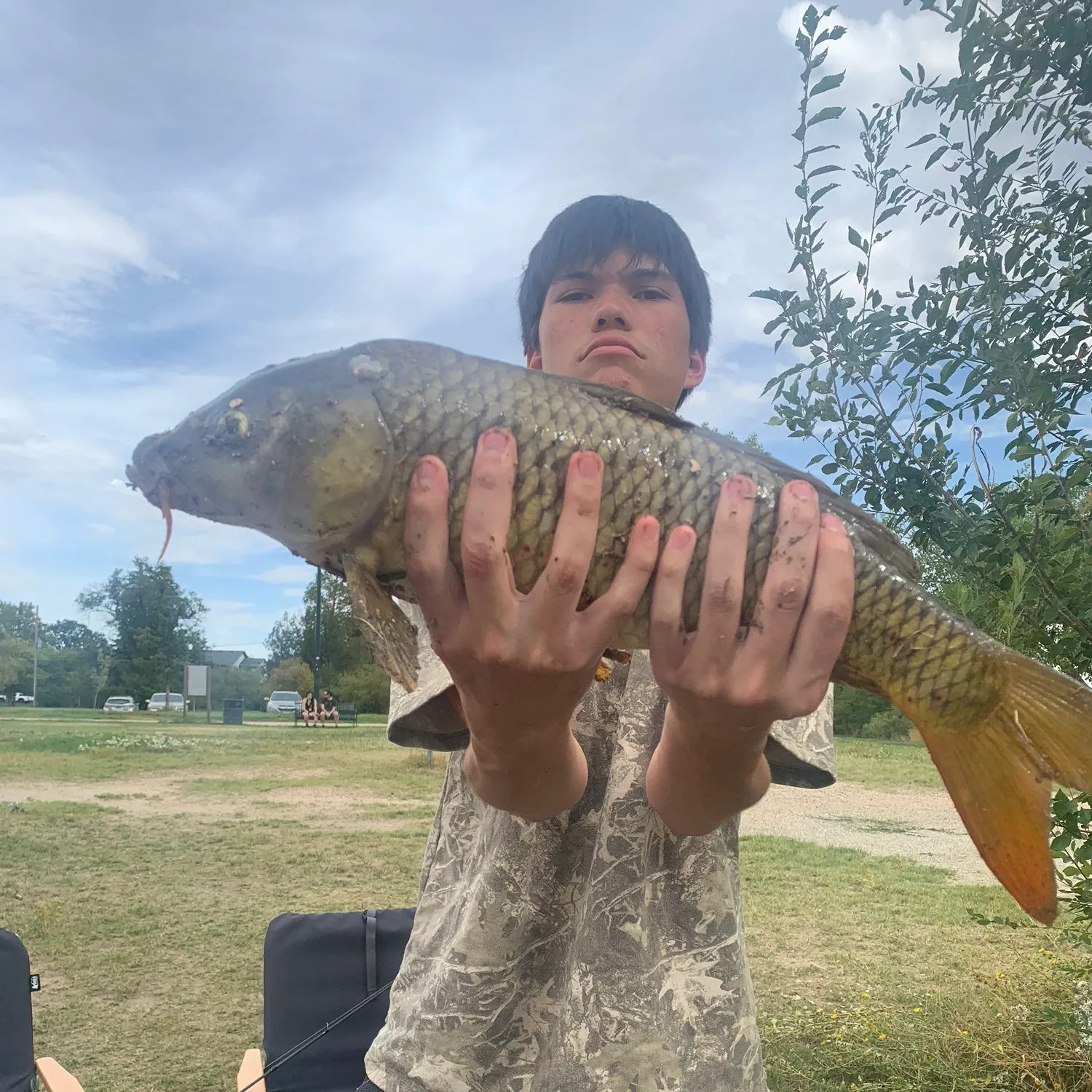 Common carp caught on Fishbrain