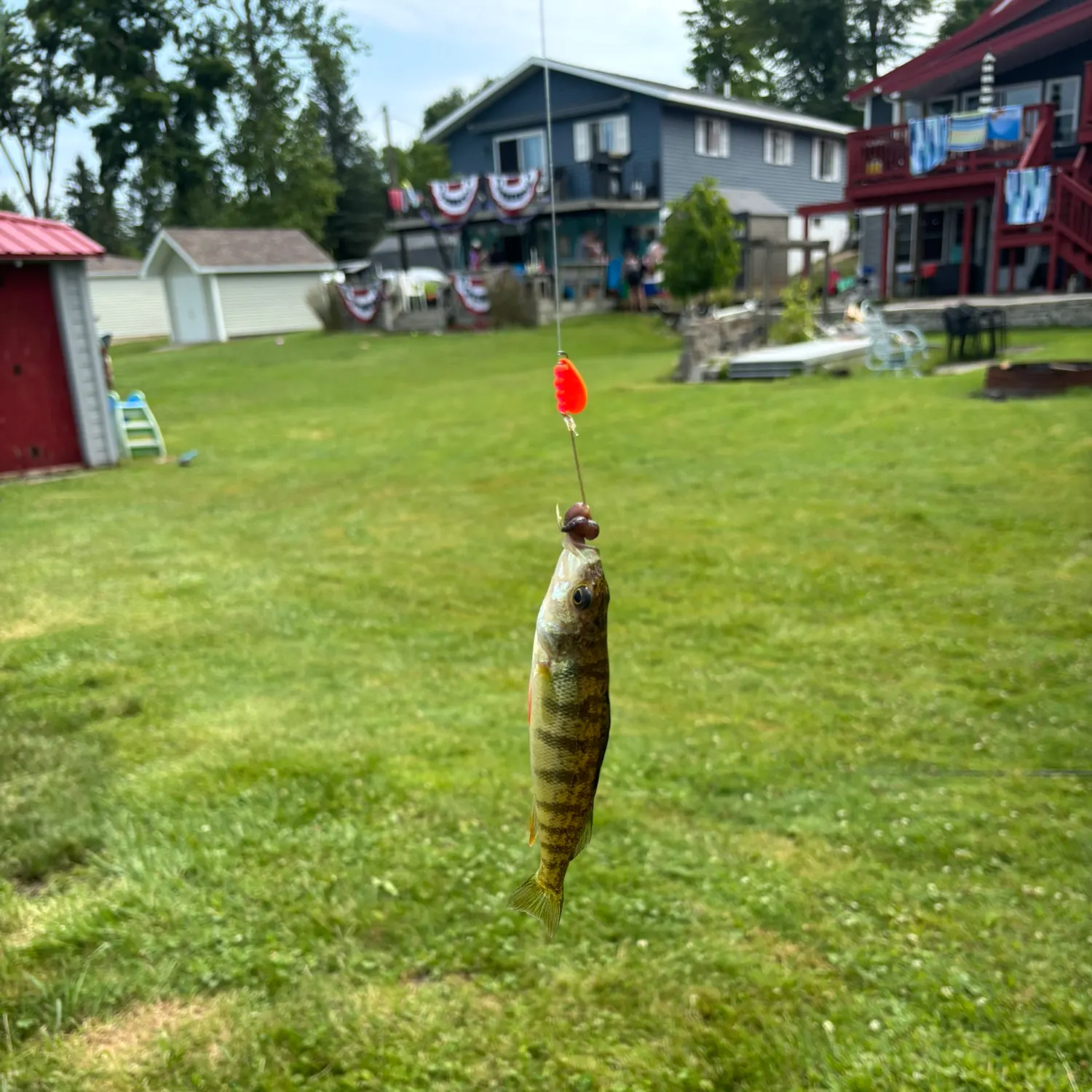 catch