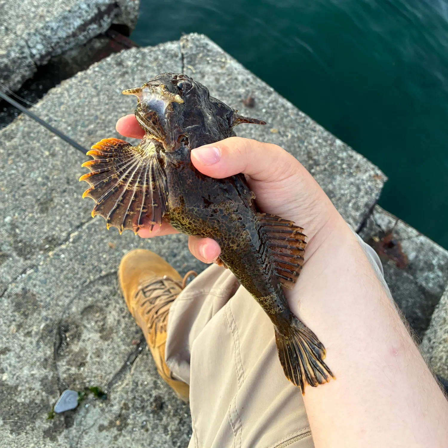 The most recent Buffalo sculpin catches on Fishbrain