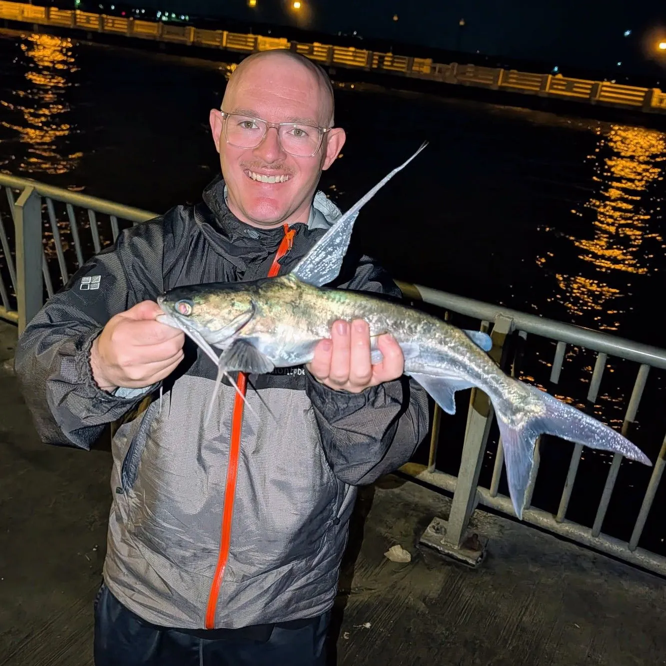 The most recent Gafftopsail sea catfish catches on Fishbrain