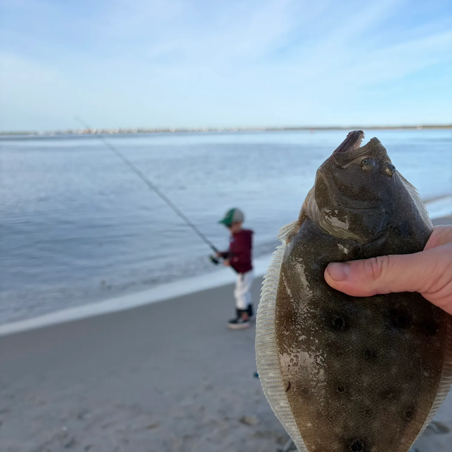 Summer flounder caught on Fishbrain