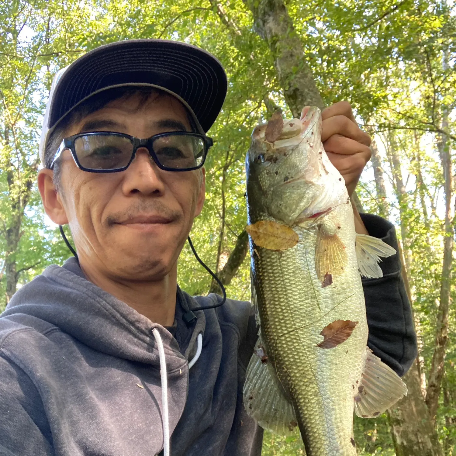 Largemouth bass caught on Fishbrain