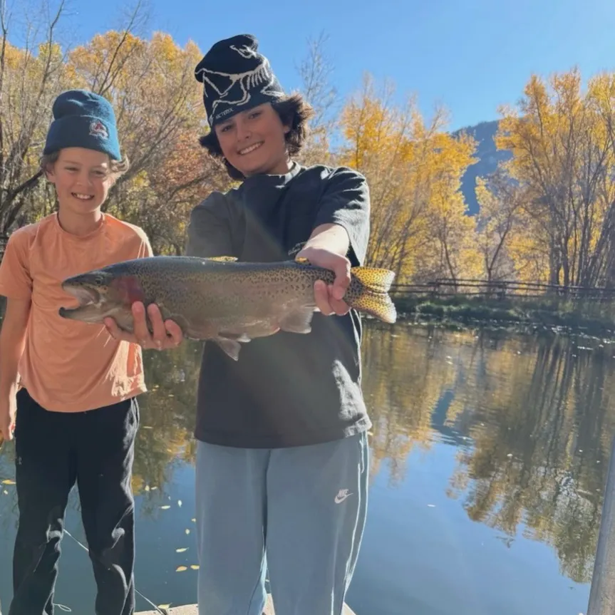 The most recent Westlope cutthroat trout catches on Fishbrain