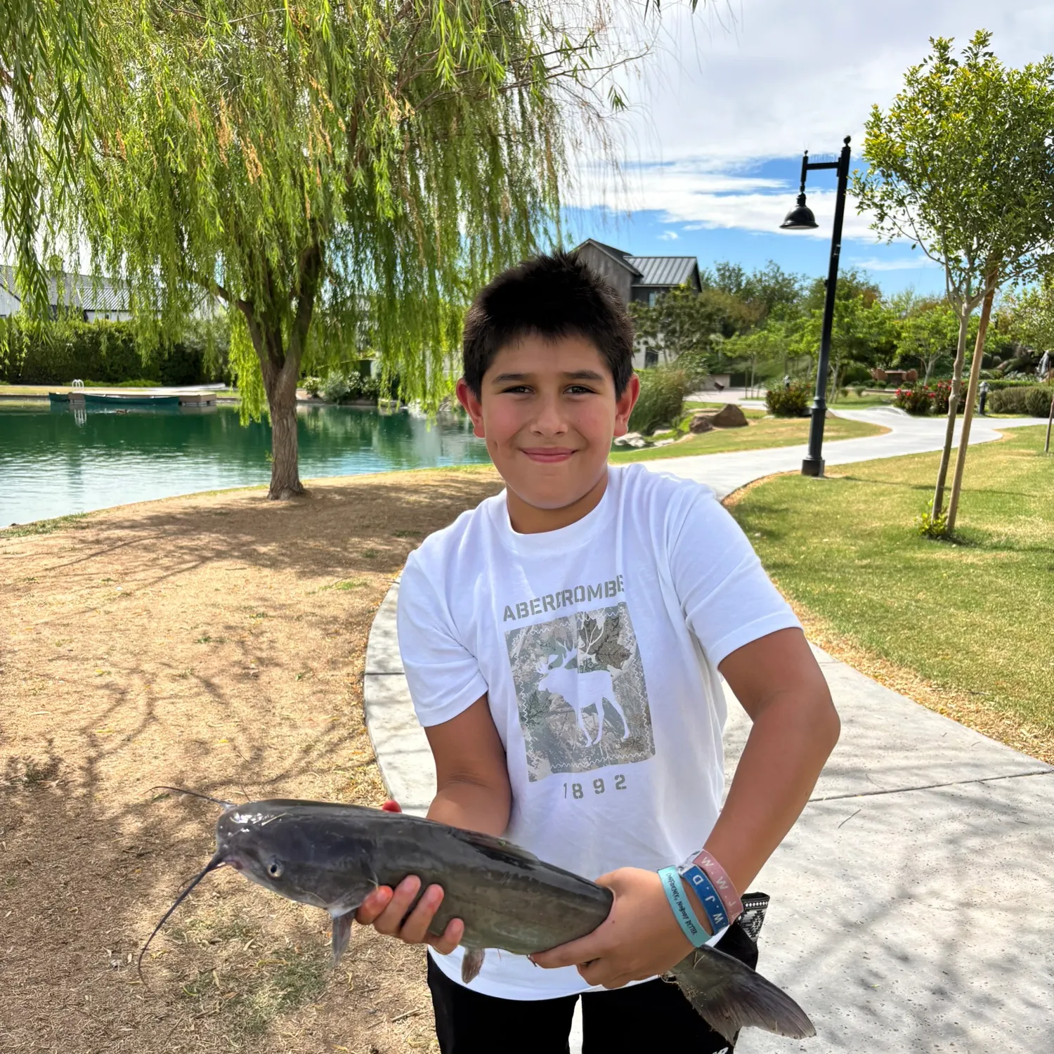 Channel catfish caught on Fishbrain