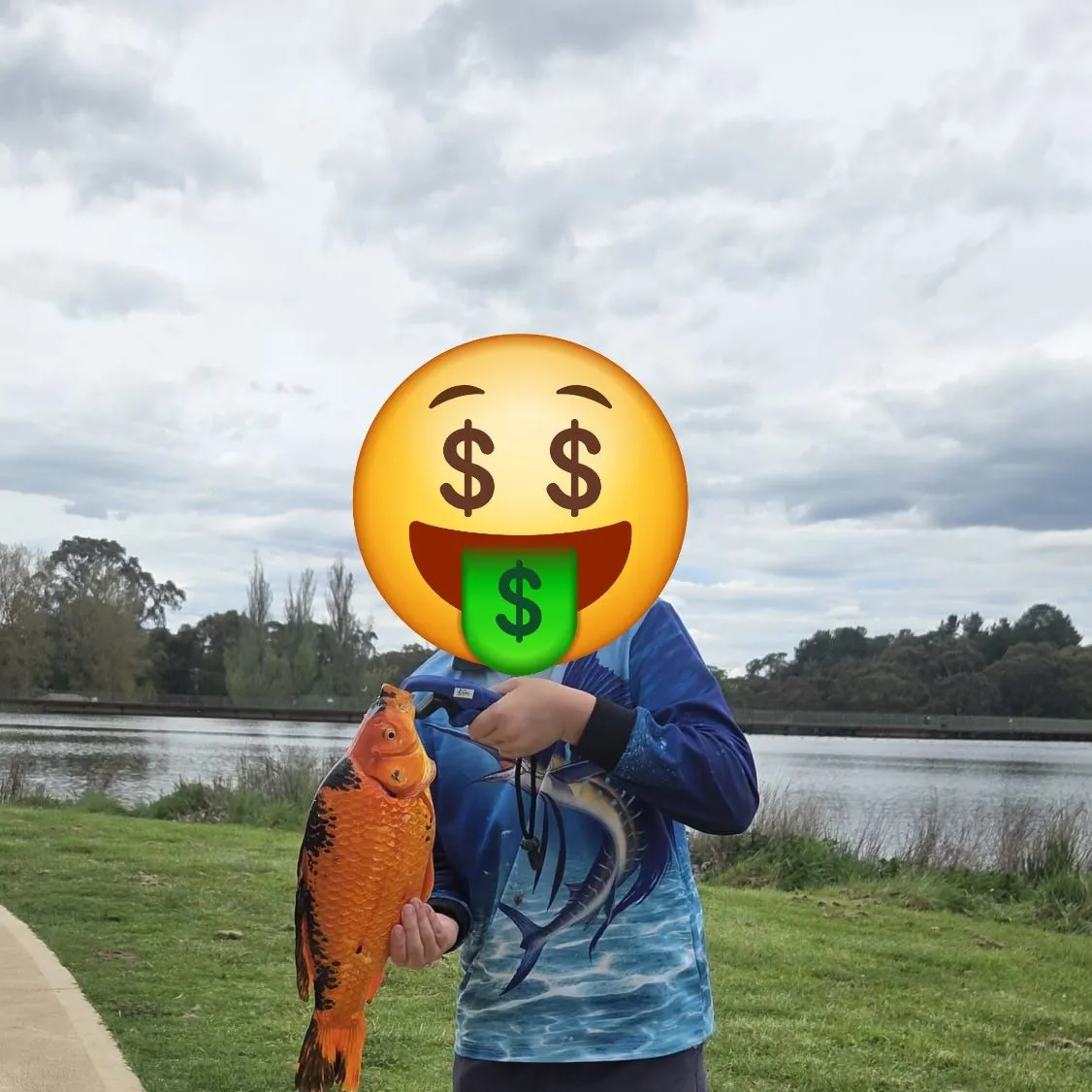 The most recent Koi carp catches on Fishbrain