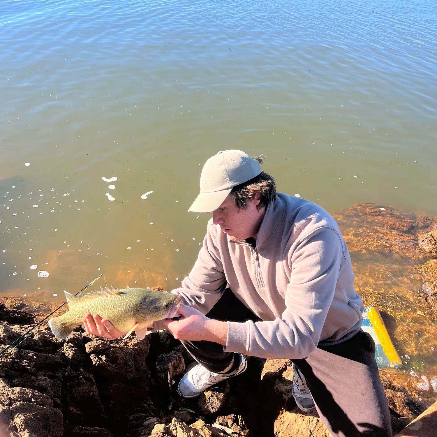 Murray cod caught on Fishbrain