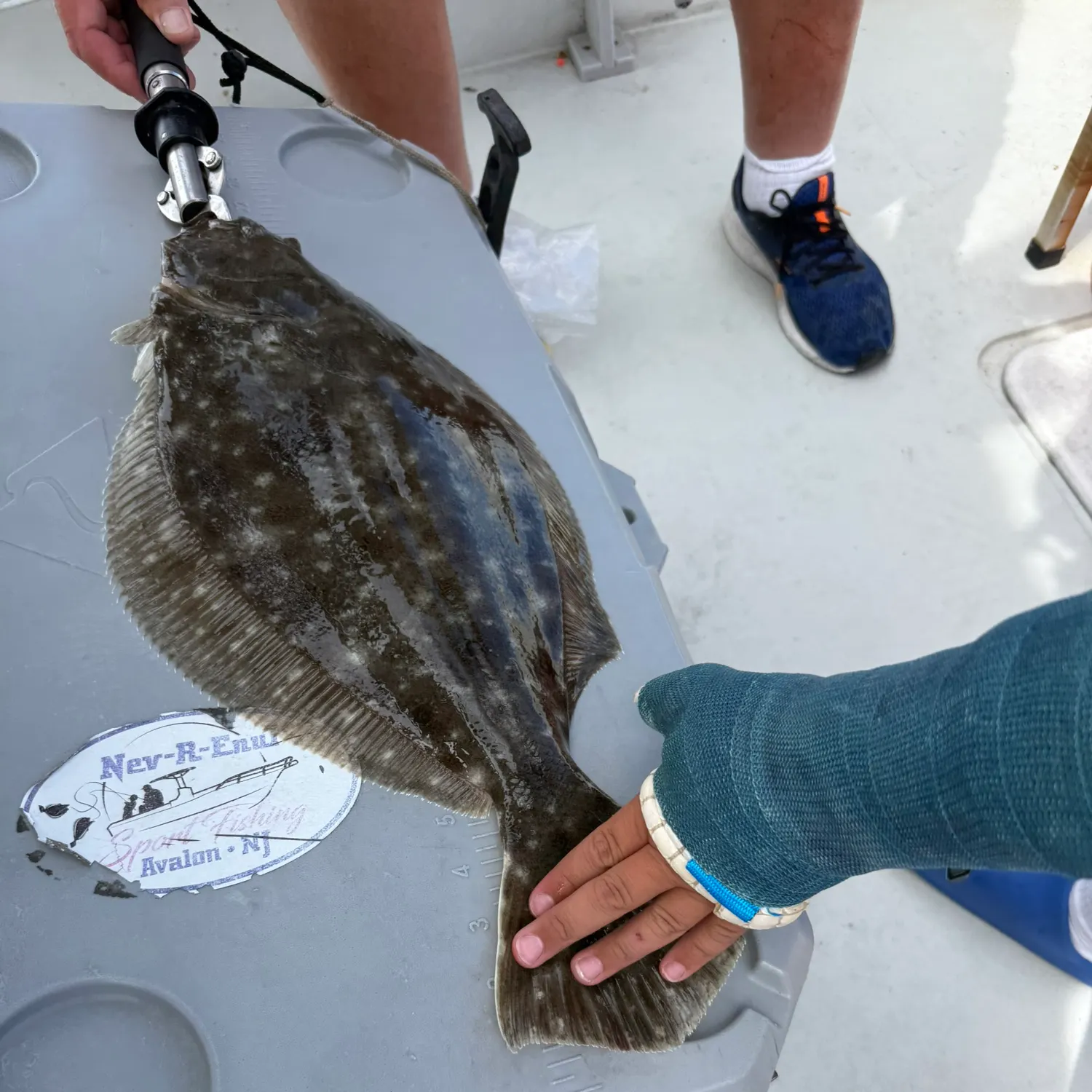 Summer flounder caught on Fishbrain