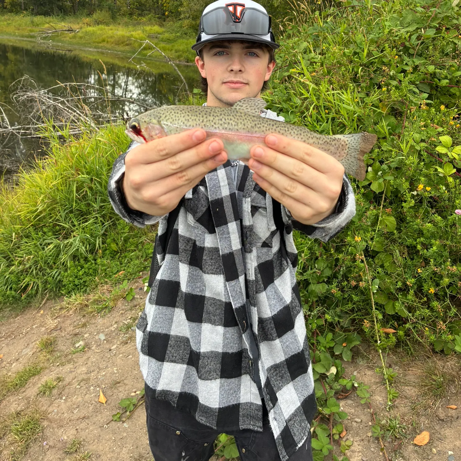 Rainbow trout caught on Fishbrain