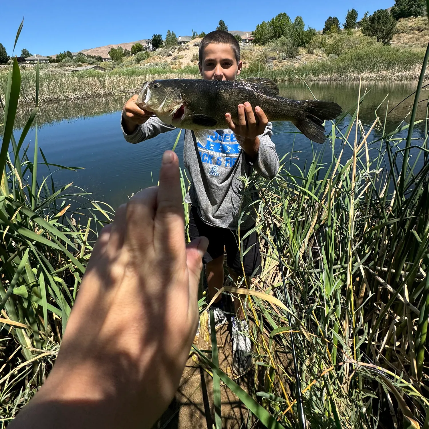 catch