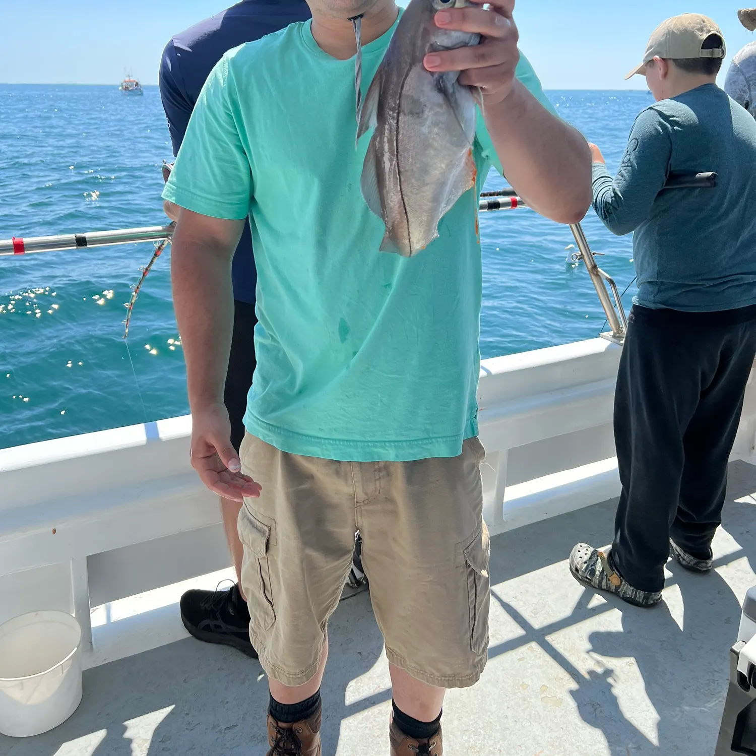 The most recent Haddock catches on Fishbrain