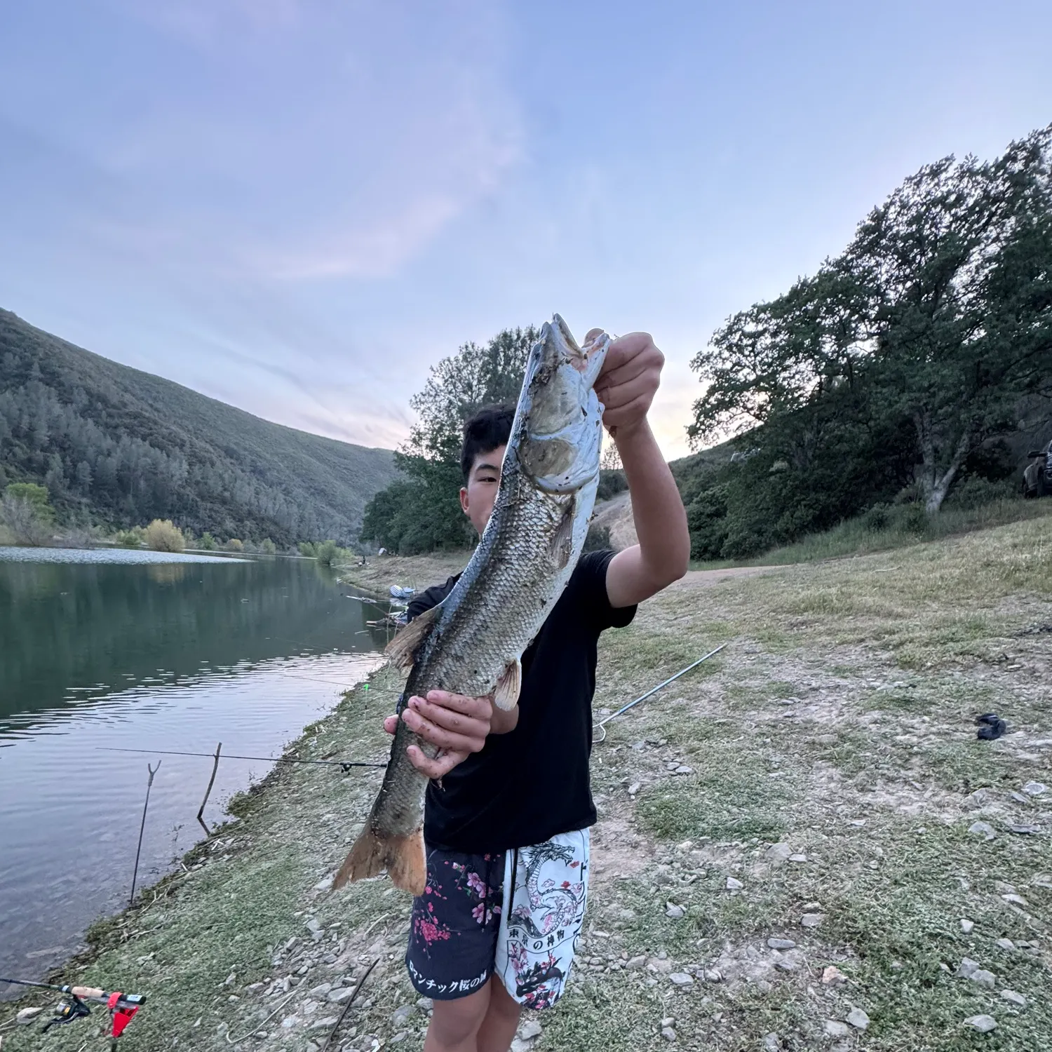 The most recent Sacramento pikeminnow catches on Fishbrain