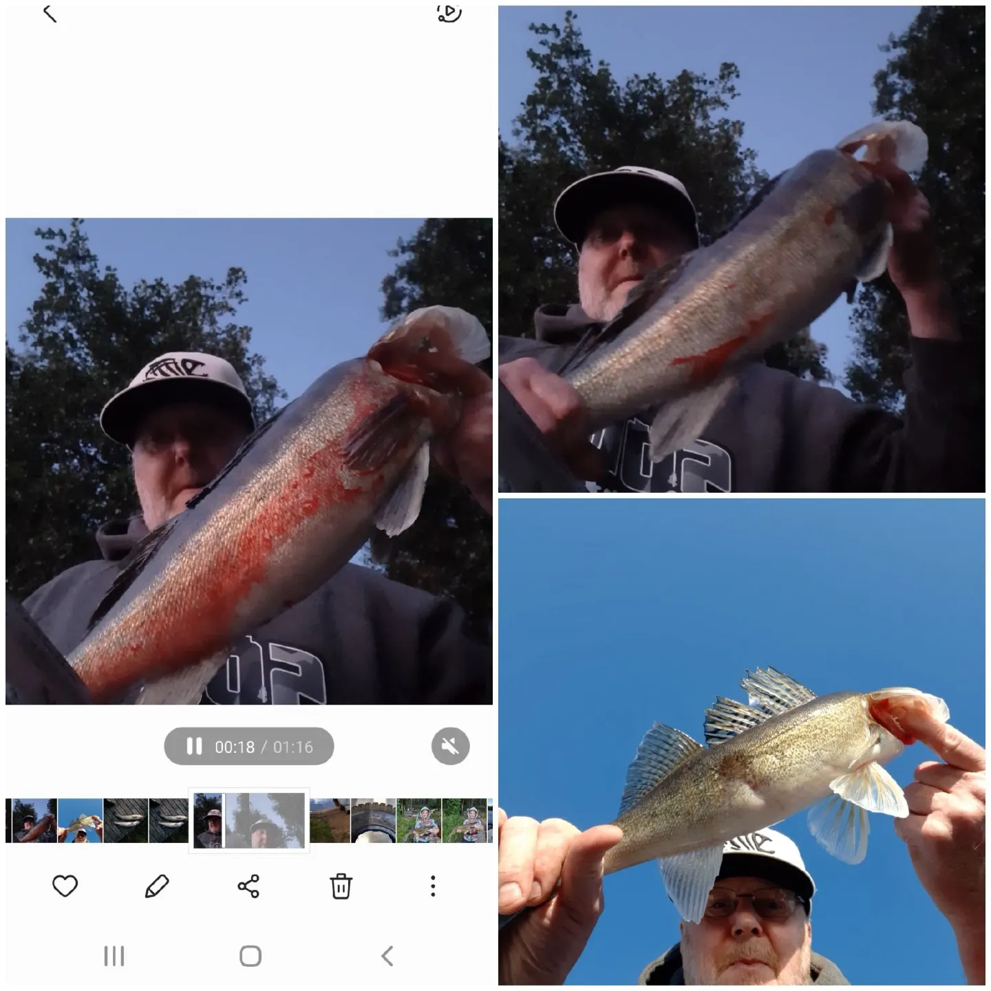 recently logged catches