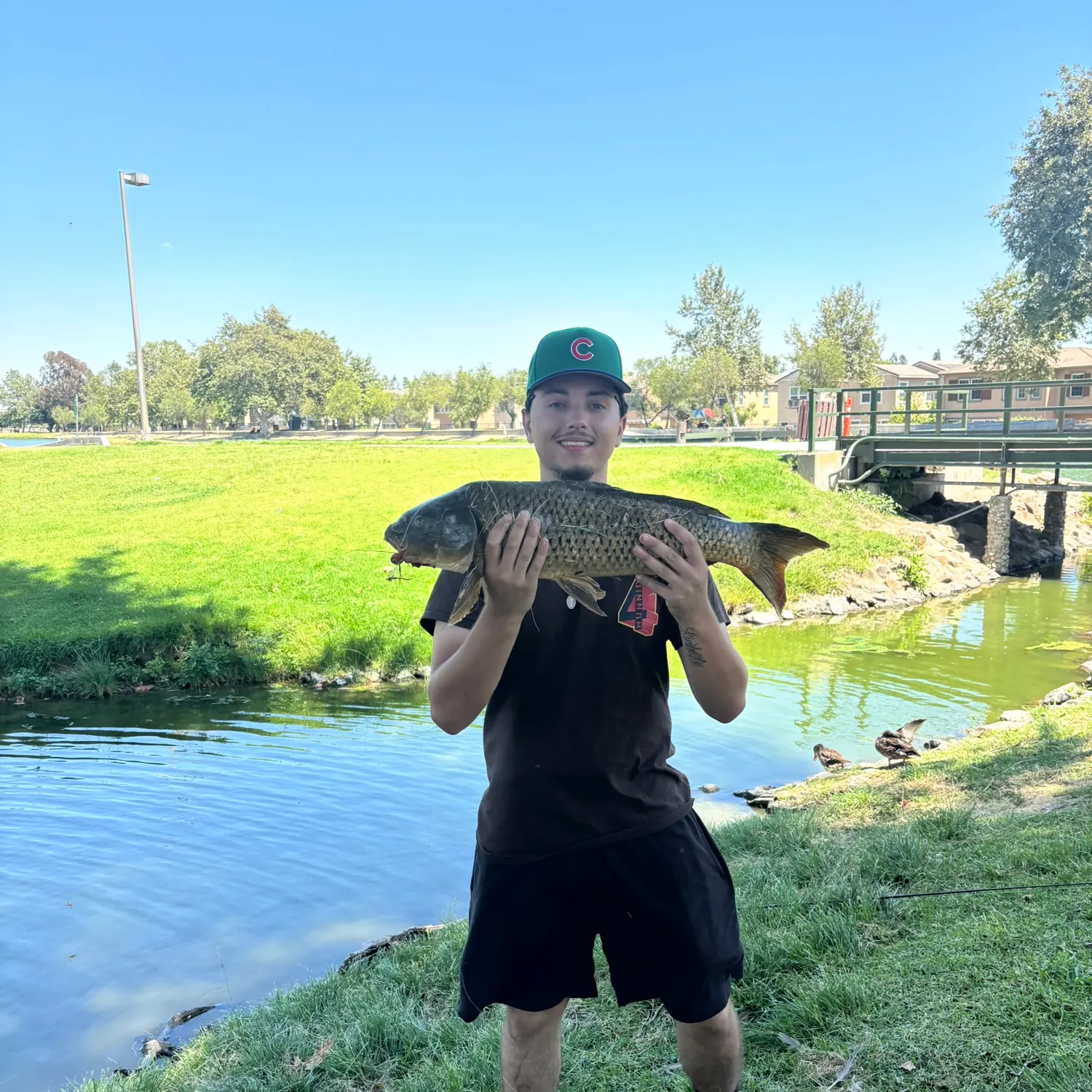 catch