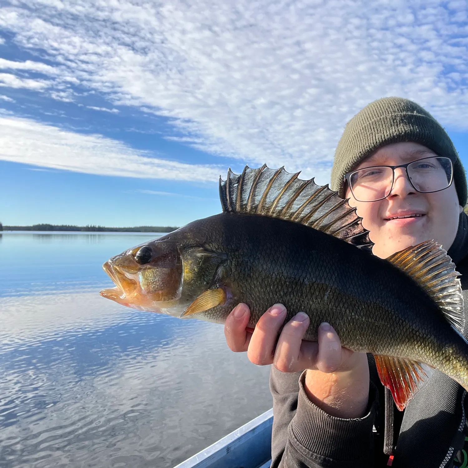 European perch caught on Fishbrain