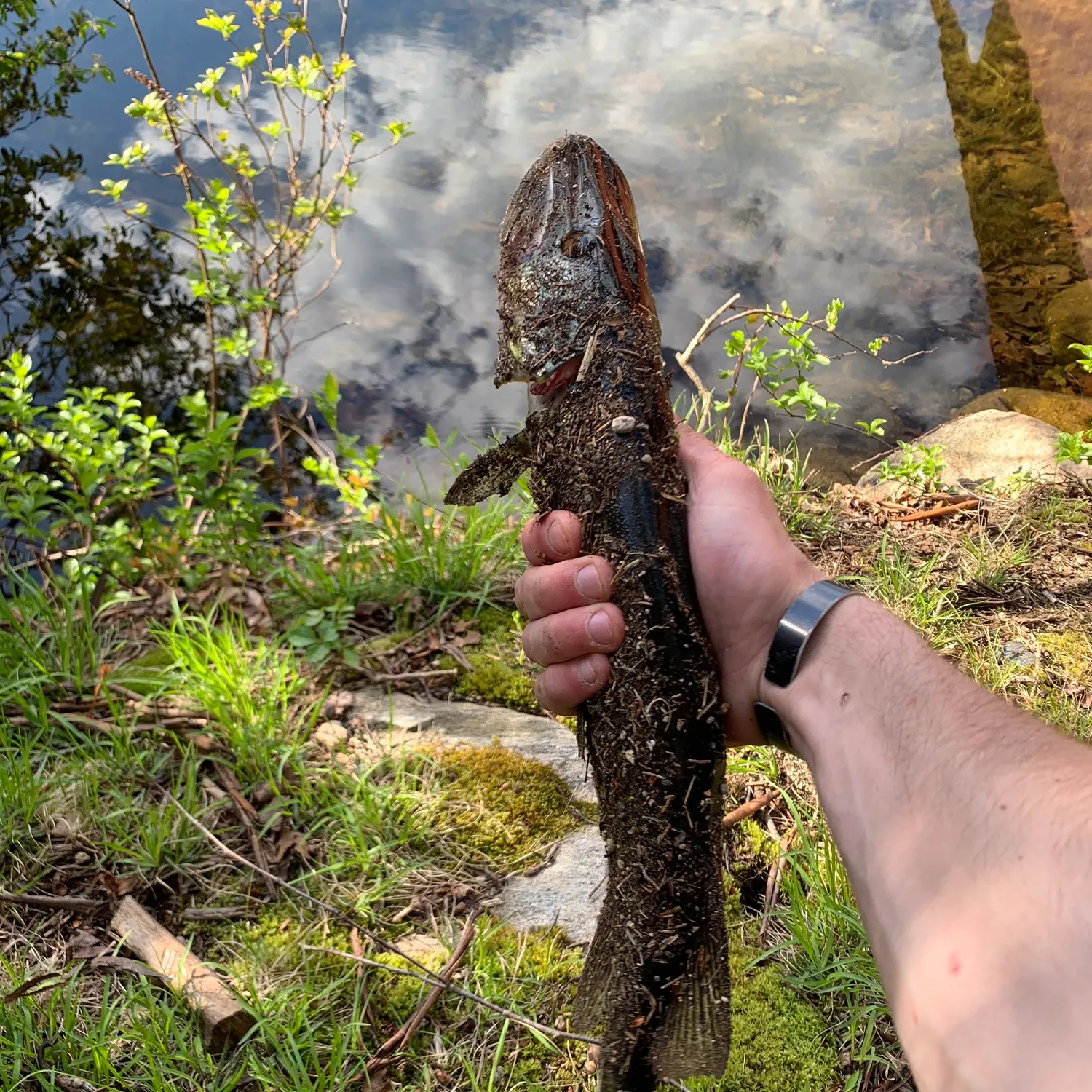 angler catch
