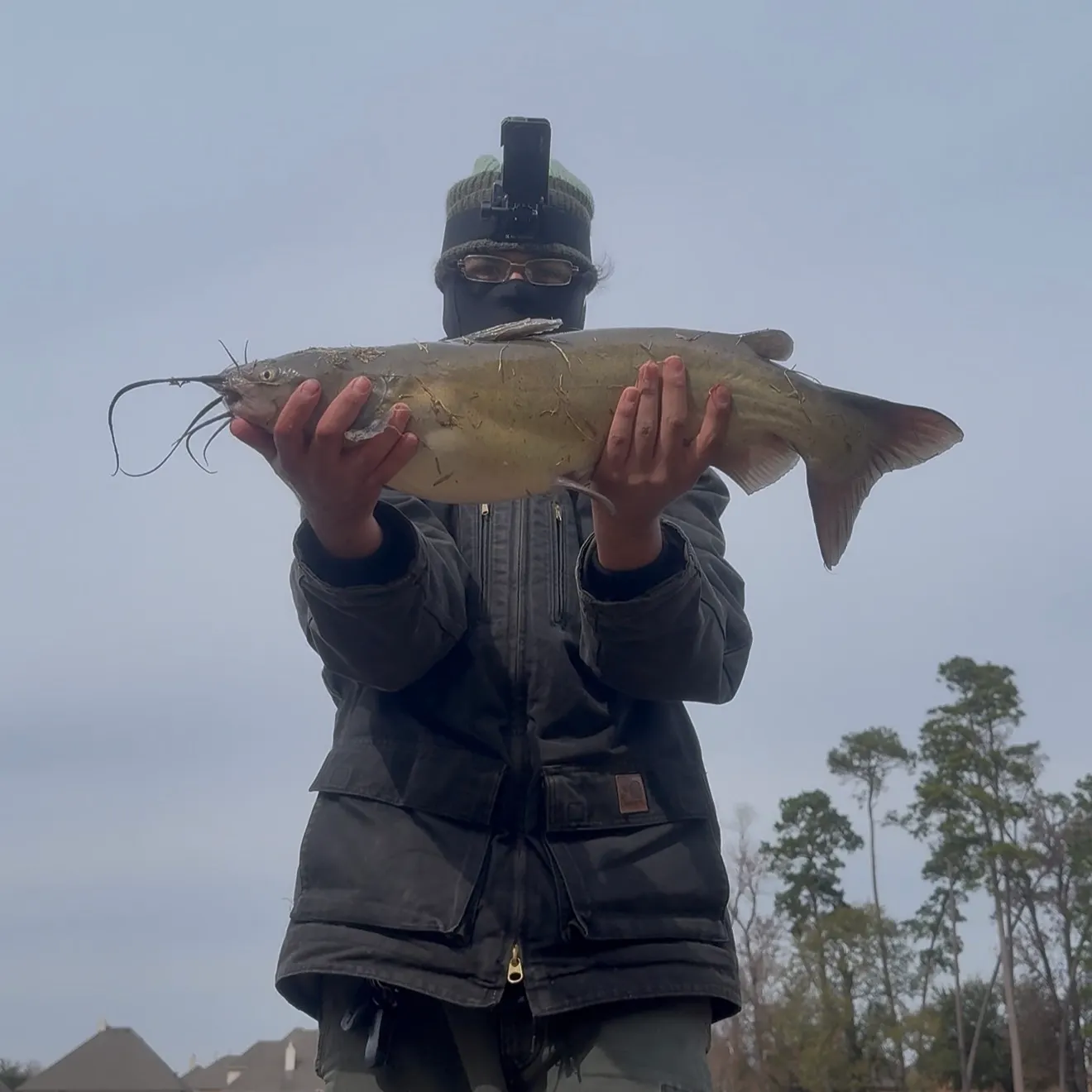 The most recent Channel catfish catches on Fishbrain
