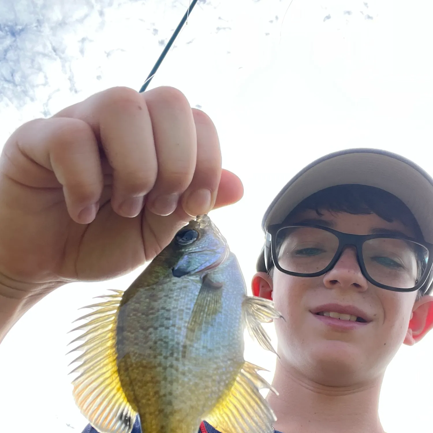 Bluegill caught on Fishbrain